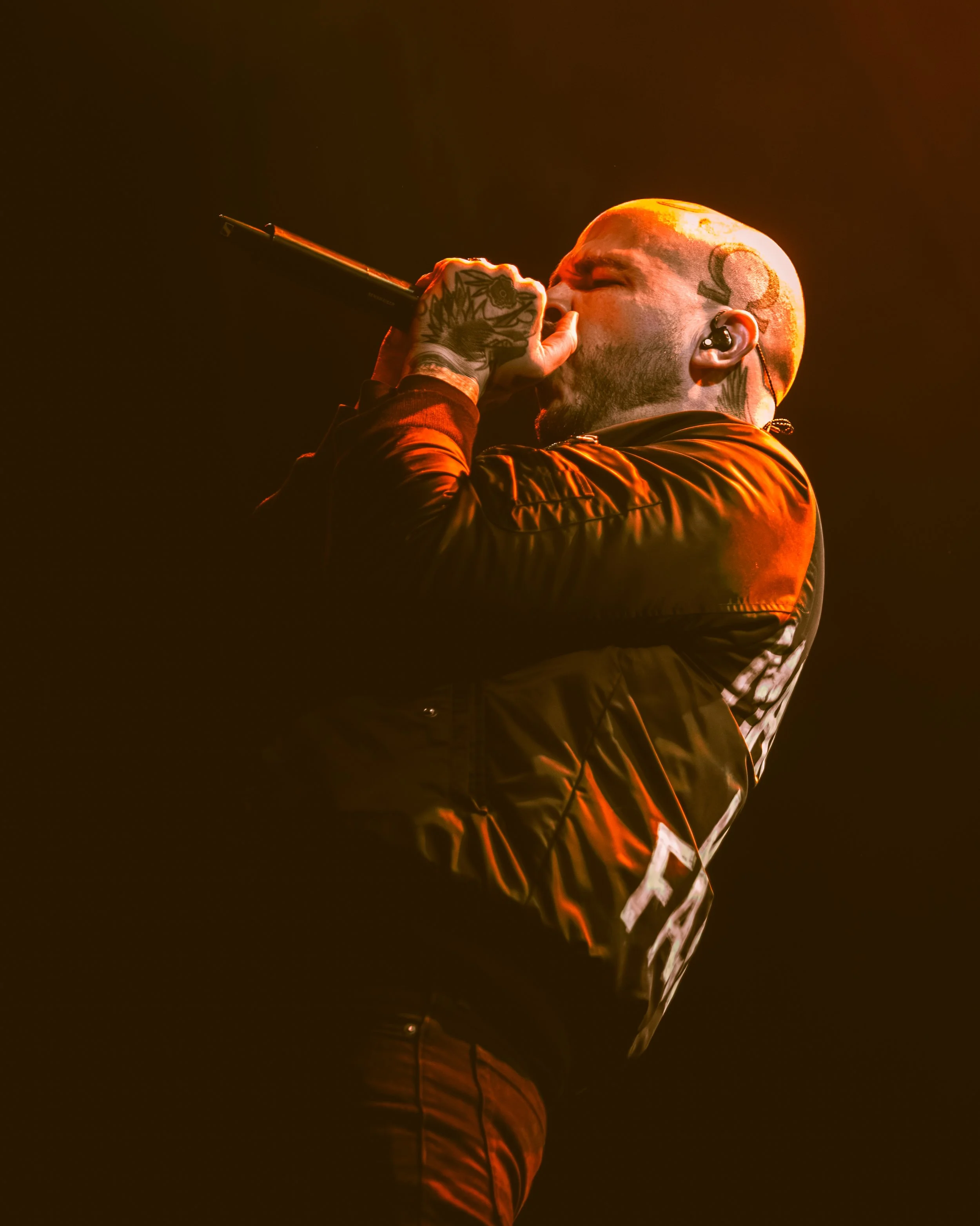 2 - Great American Ghost (18).jpg