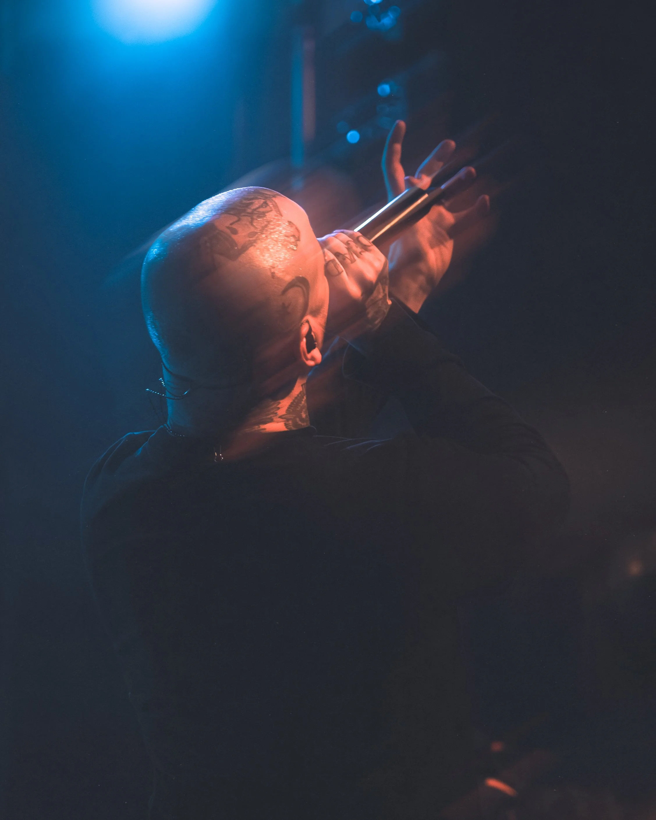 2 - Great American Ghost (22).jpg