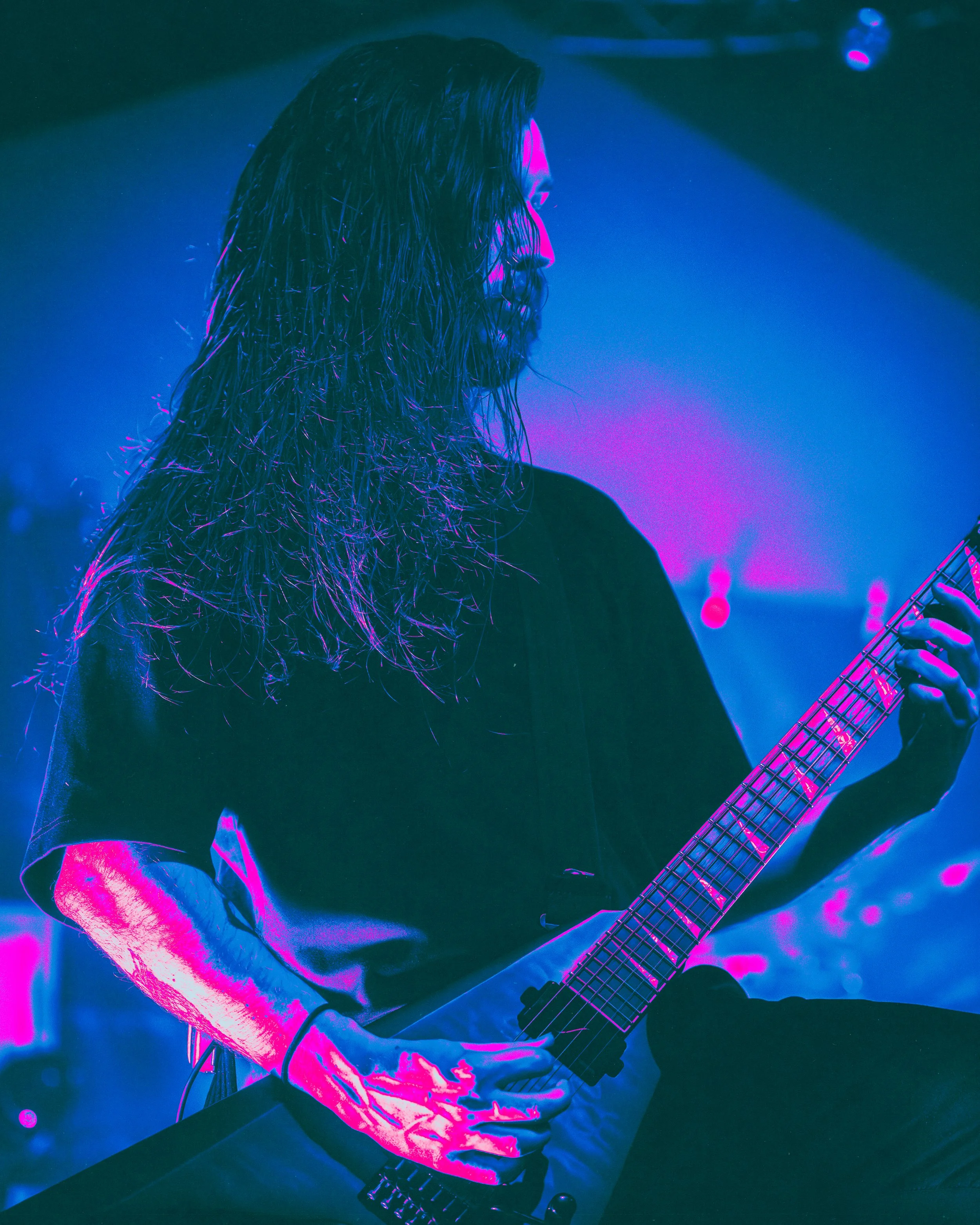 3 - Sylosis (11).jpg