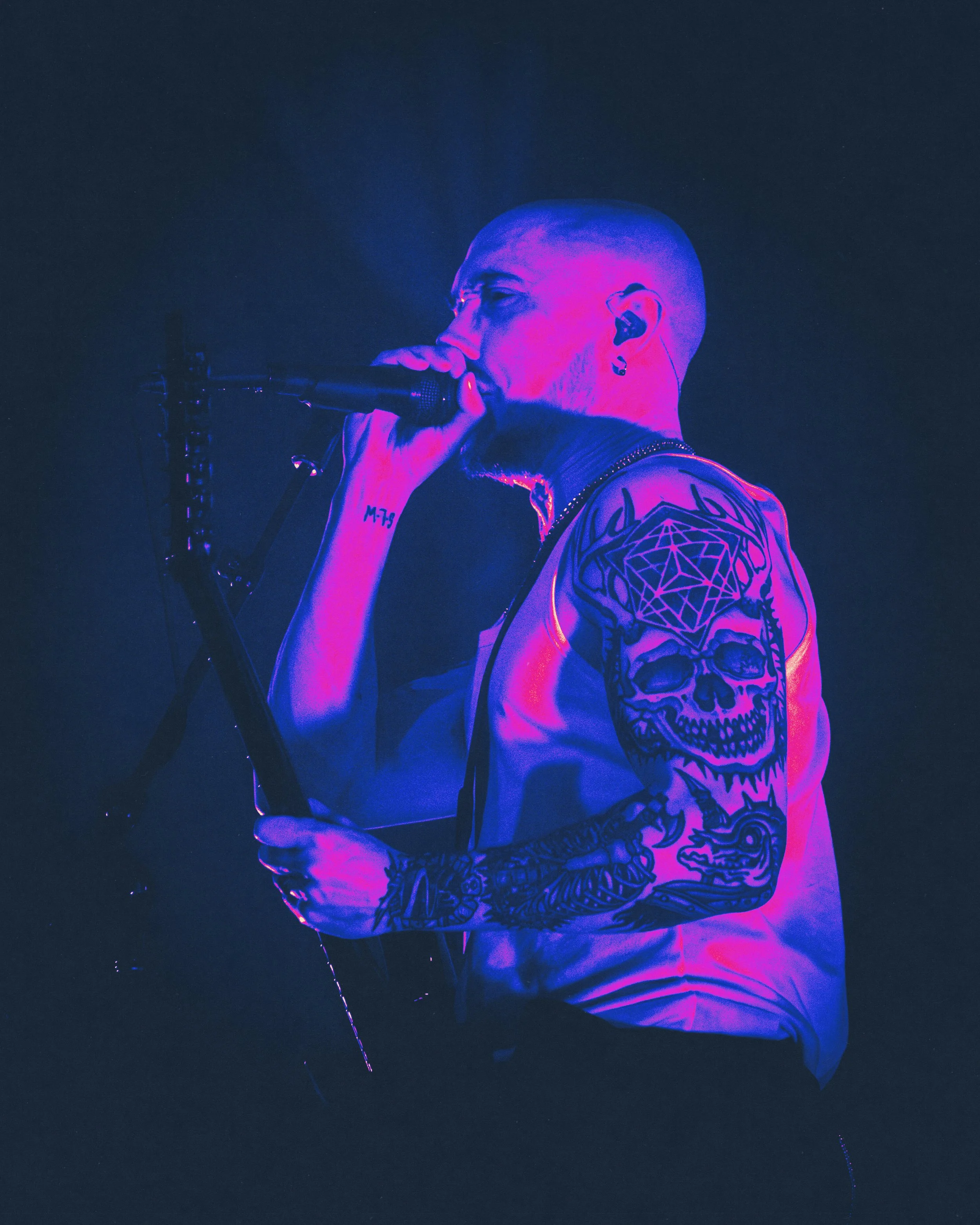 3 - Sylosis (12).jpg