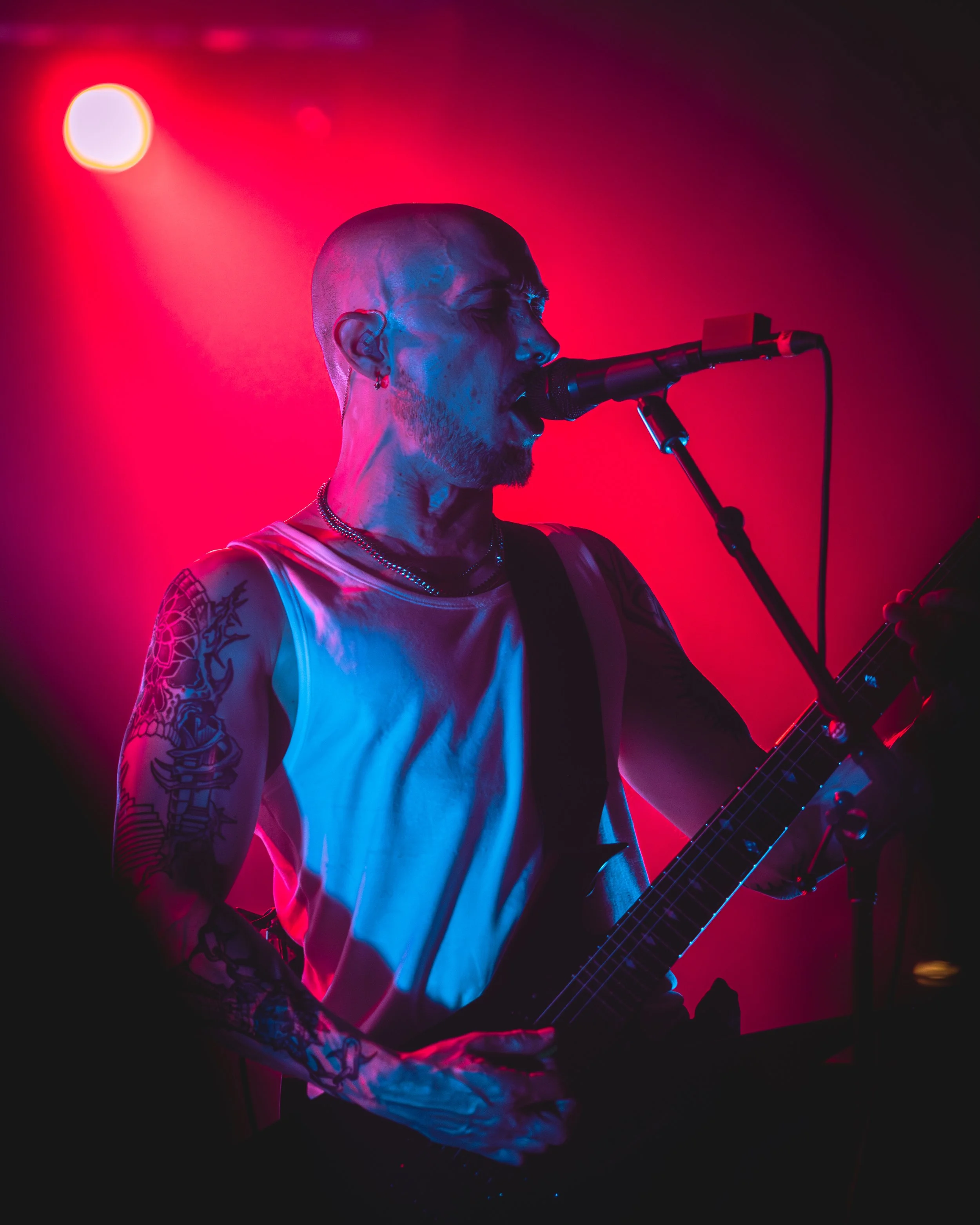 3 - Sylosis (15).jpg