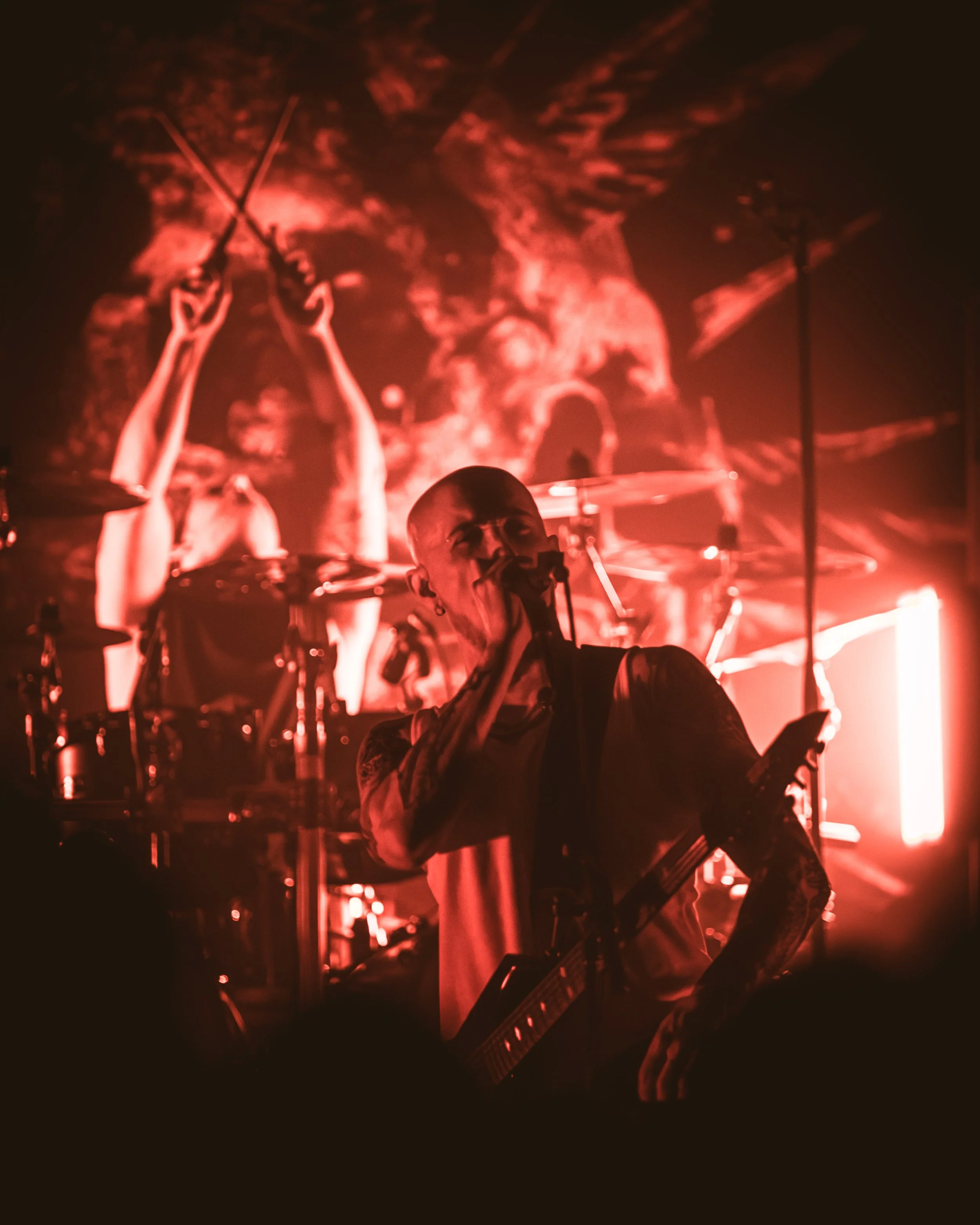 3 - Sylosis (18).jpg