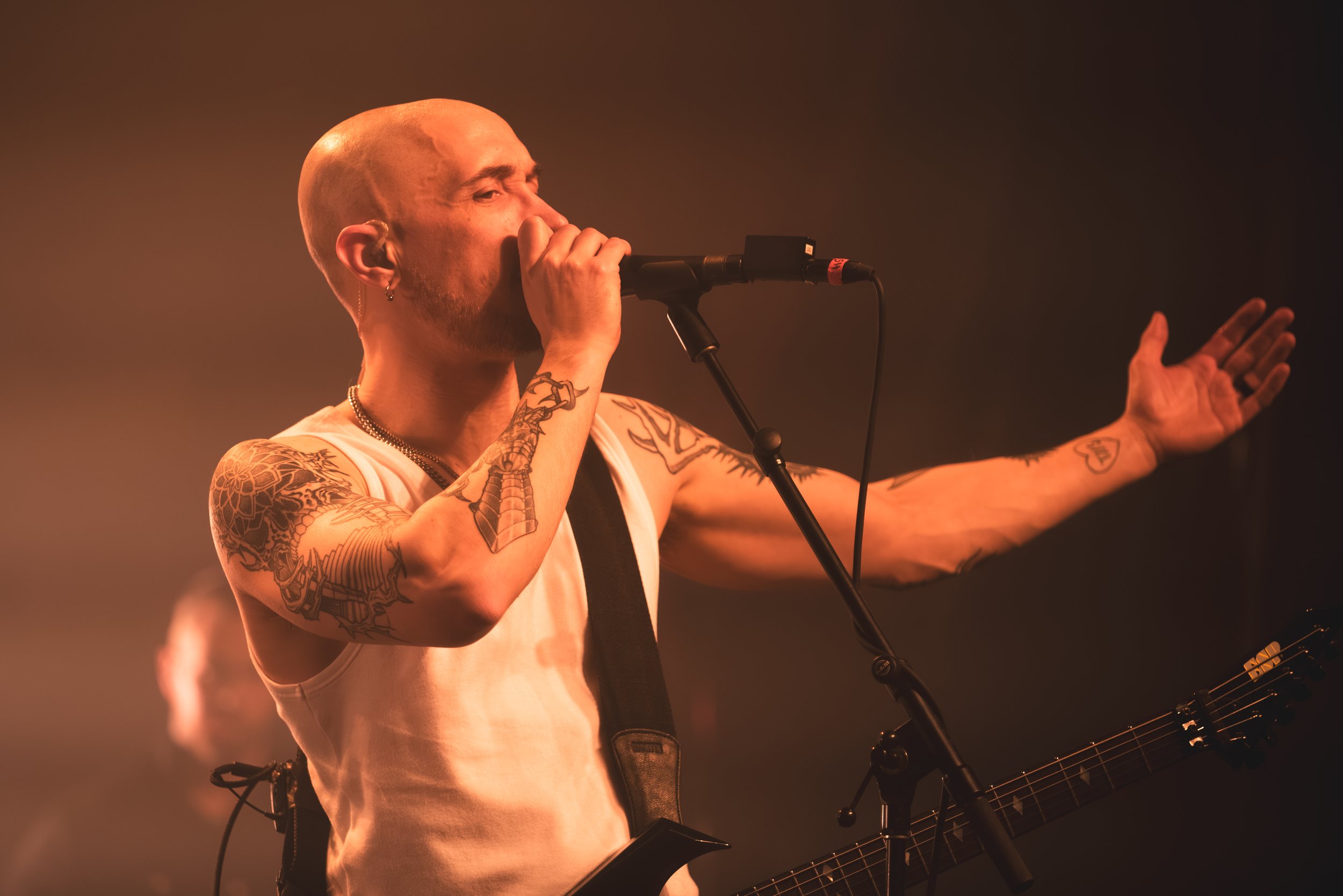 3 - Sylosis (20).jpg