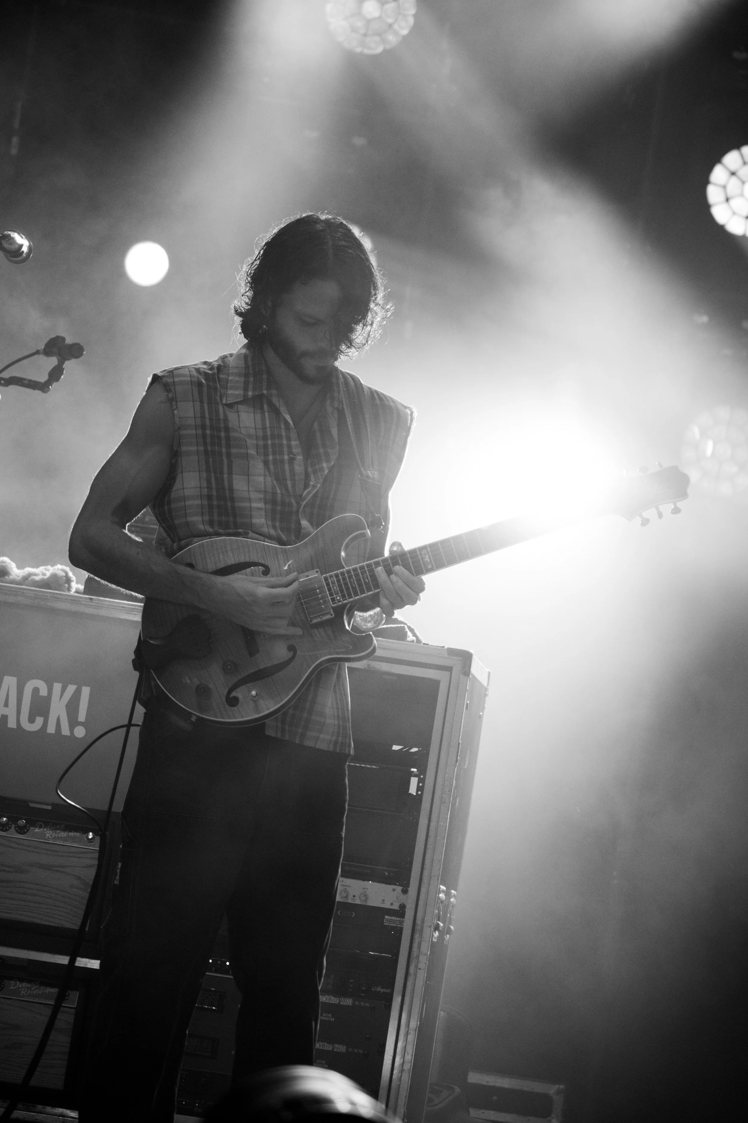 Goose | Holmdel
