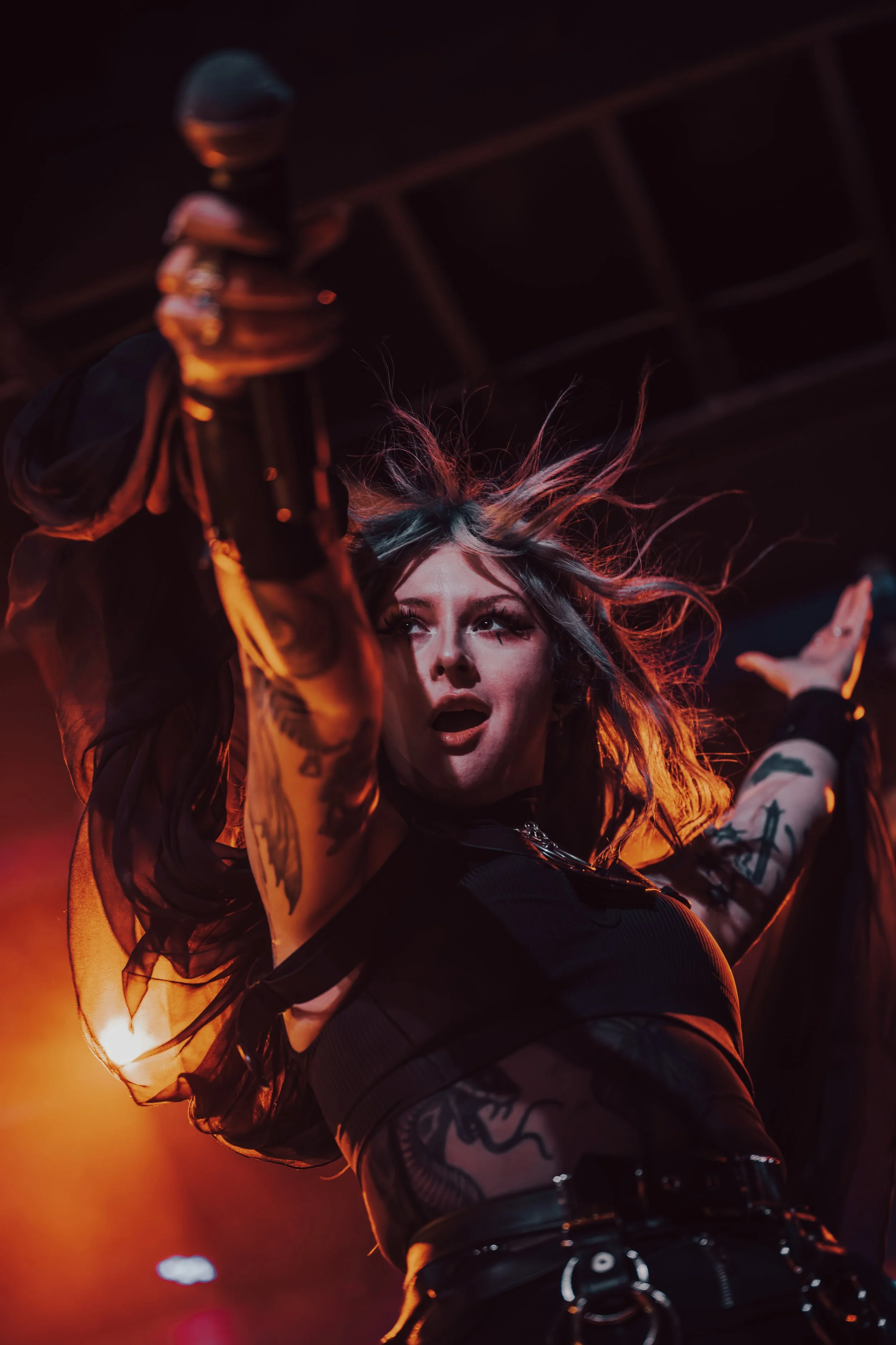 MOTHICA-6.jpg