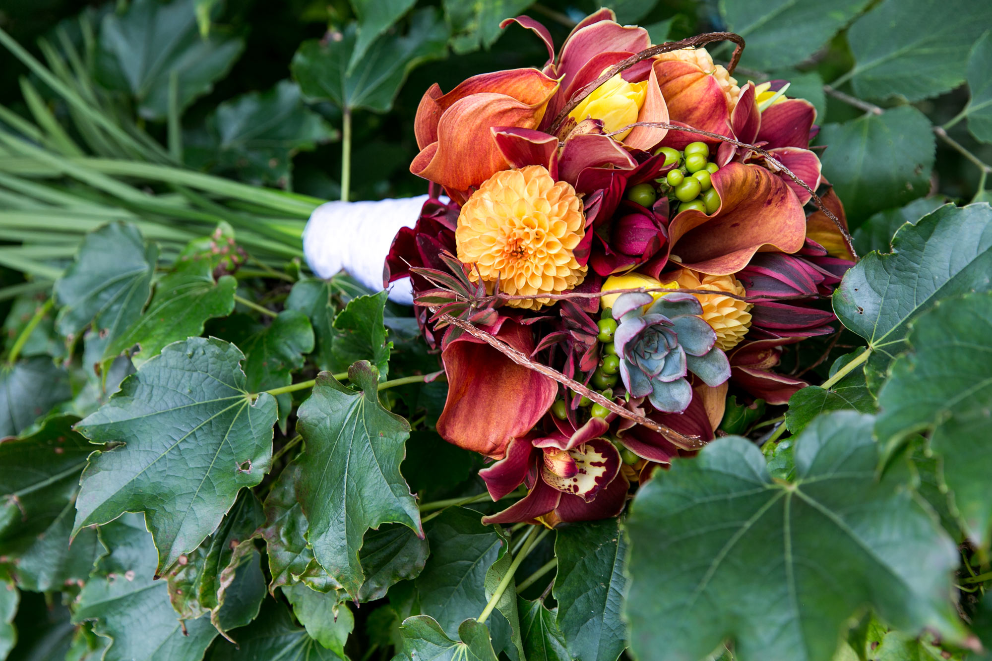 AB-colorful_bouquet-header.jpg