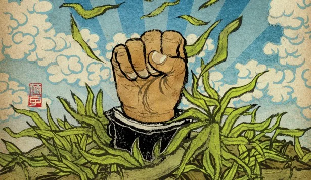 Dismantling the Asian Advantage