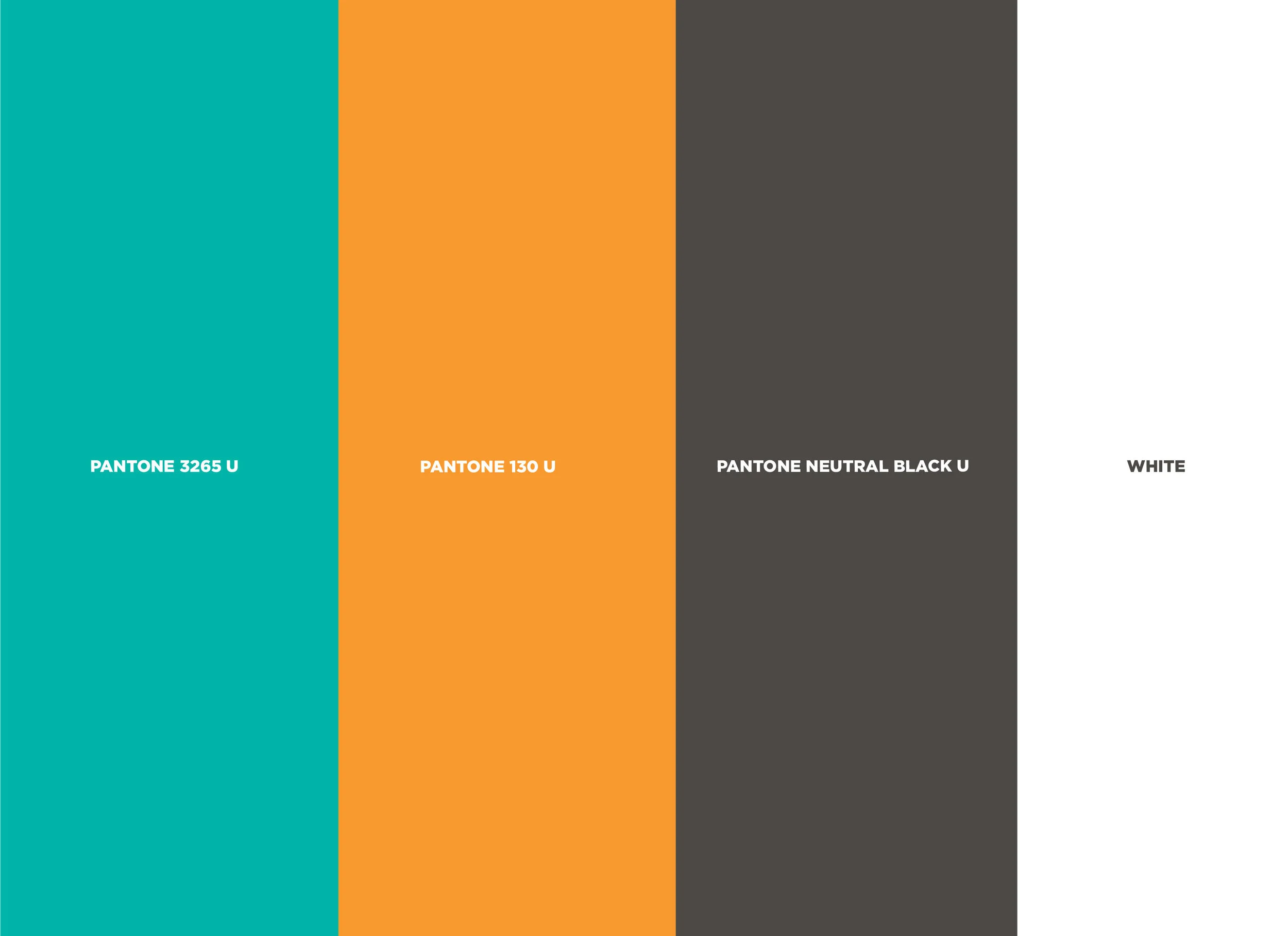 SOLVERS_PANTONES.jpg