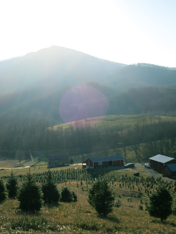 Hidden Fields Farm View to Barn and Mountain by Country Garden Florist.png