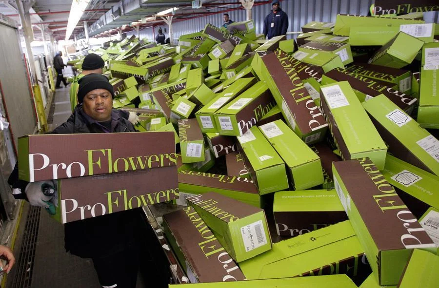 ProFlower Boxes.jpg