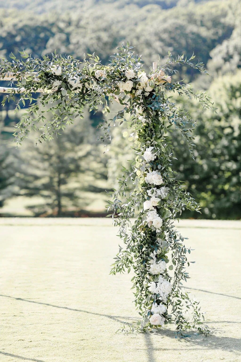 MeaghanWill_TheHomesteadResort_OP21965-Edit.jpg