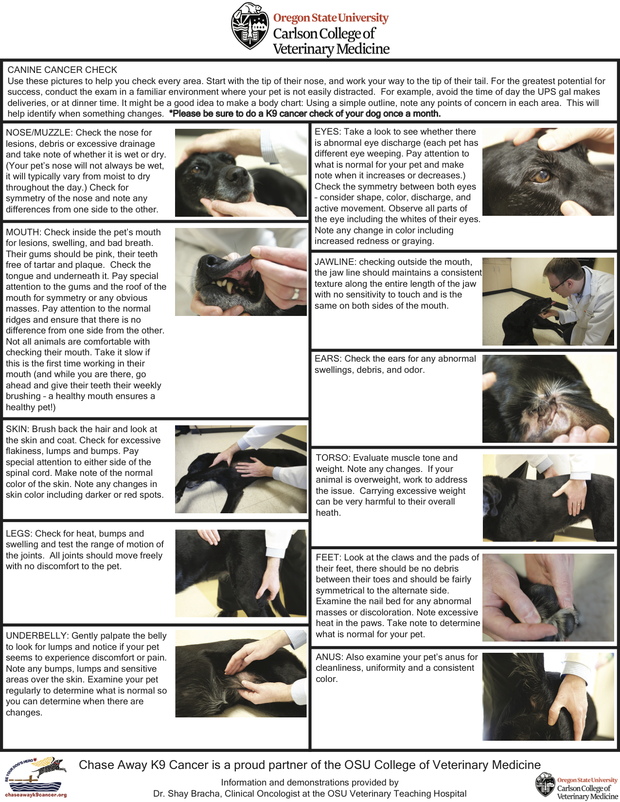 Canine-Cancer-Check-Flyer.jpg