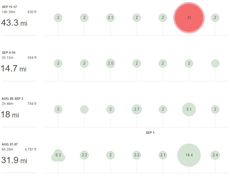 Four weeks of "training" leading up to race day