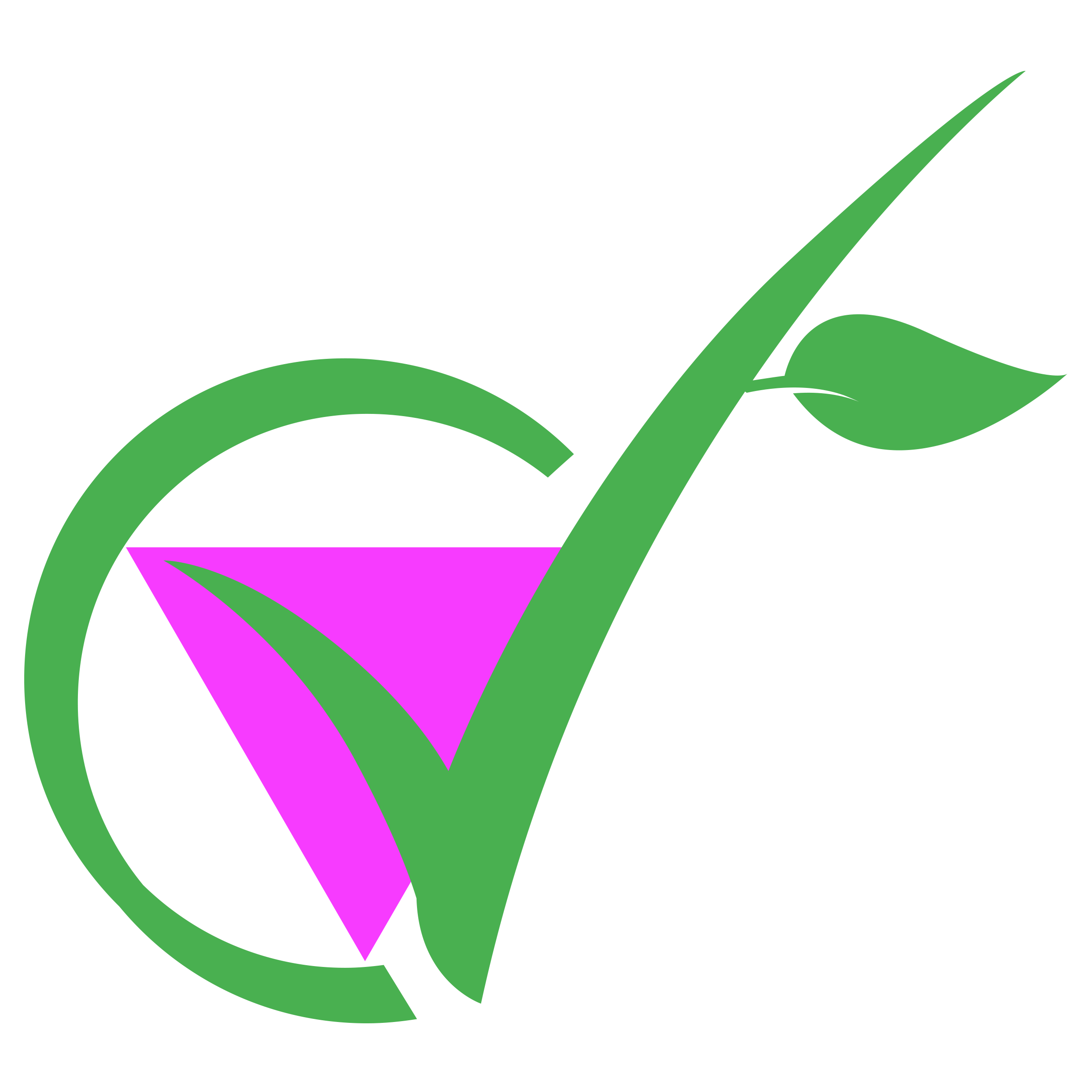 chattavegan safe space.png