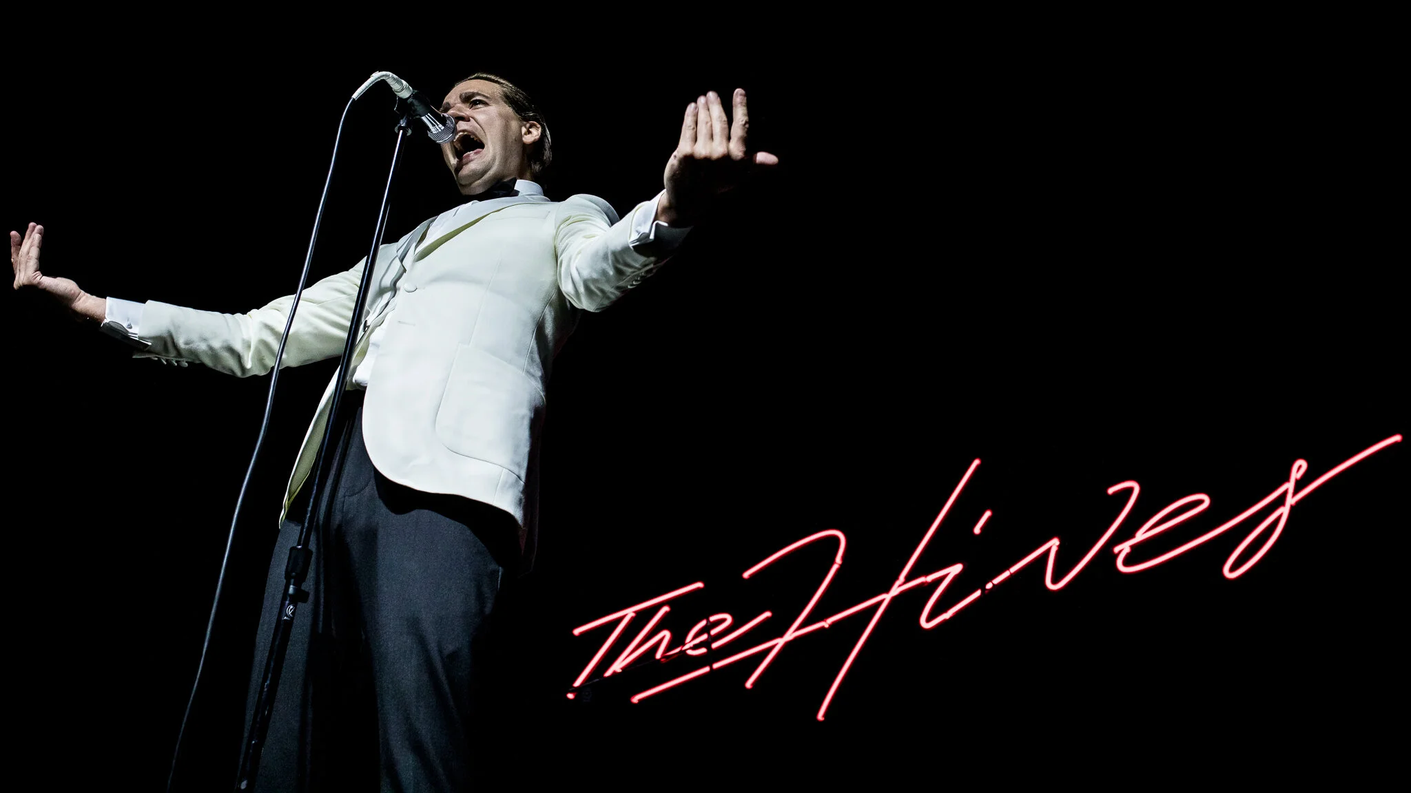 The Hives