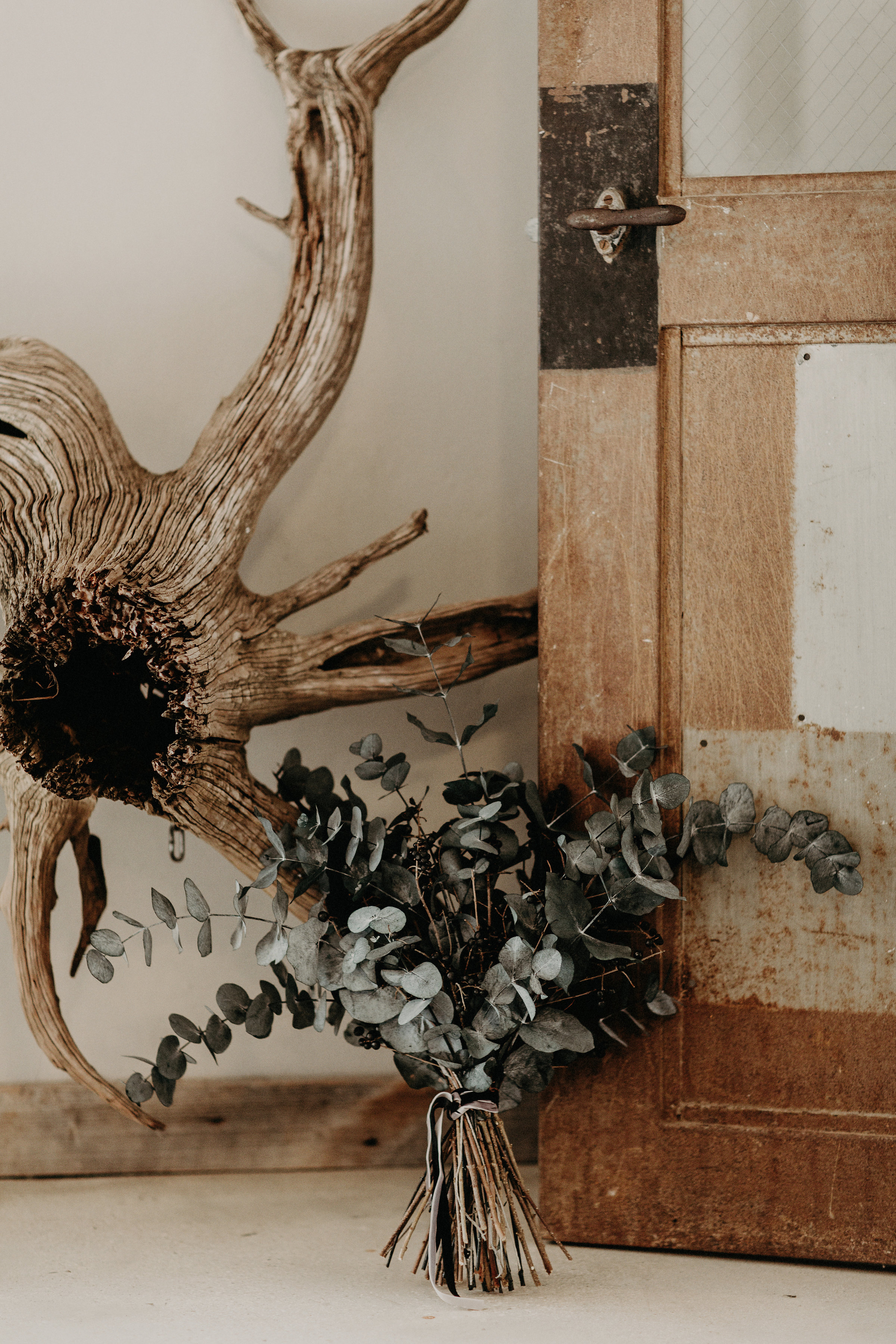 BrandiToolePhotography74.jpg