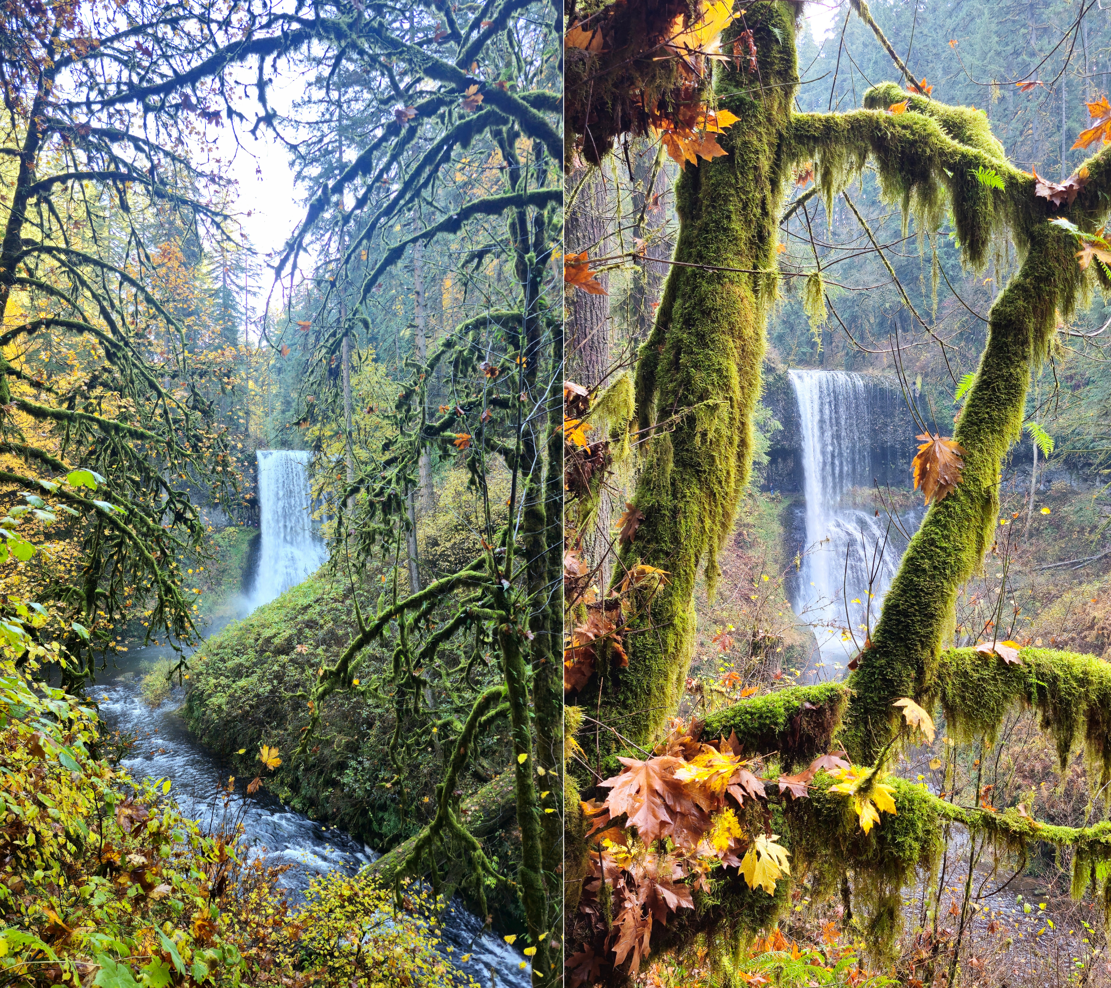 Middle North Falls, Silver Falls State Park, Oregon