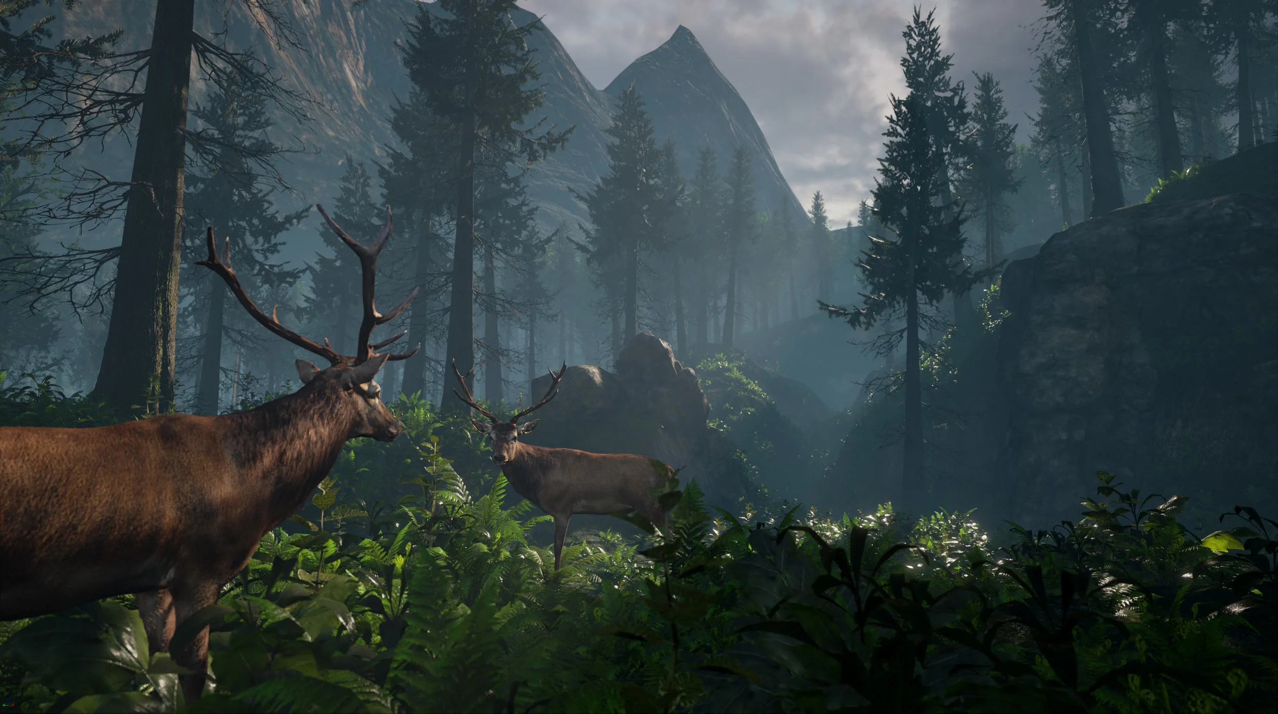 Creating Audio for Interactive VR Nature Documentary 