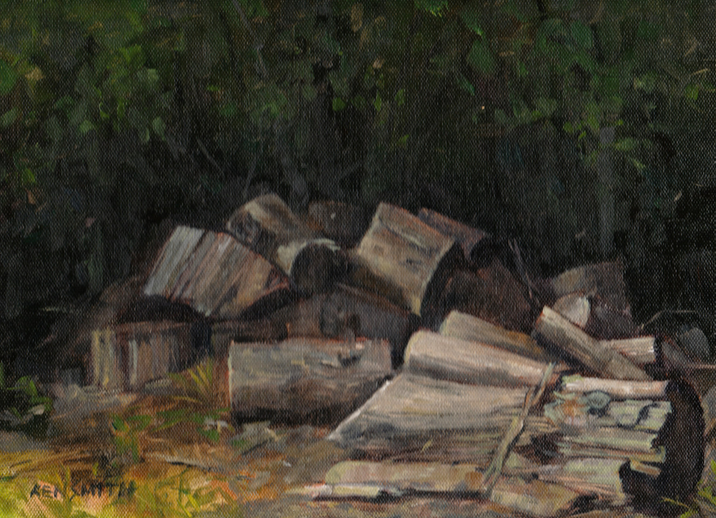 Blue Ridge wood pile