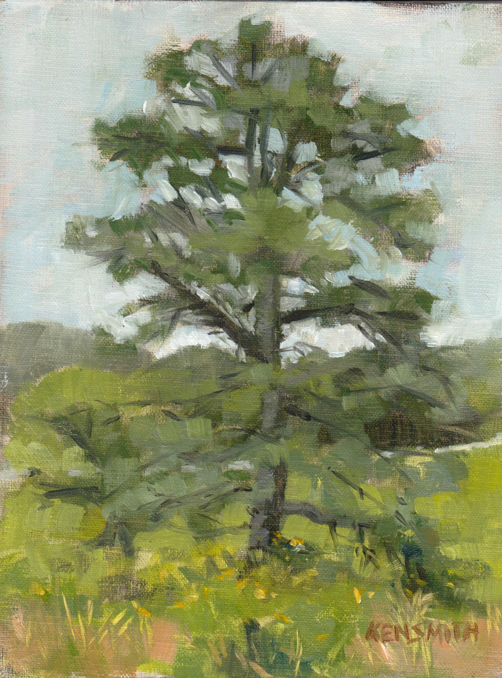 rockyknob.jpeg