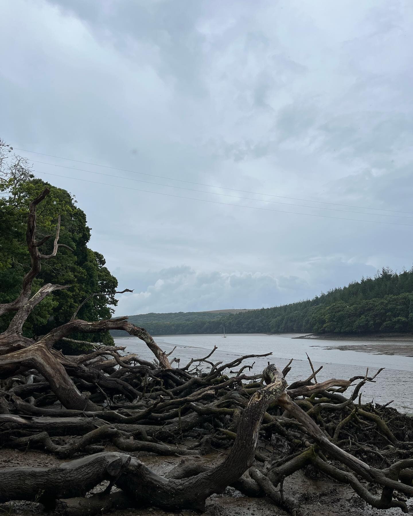 Go Wild went West! 

We found a place that&rsquo;s wild. 

Where the land is respected. Where the River snakes around the land and swallows the shoreline twice daily before breathing it back out. We&rsquo;ve moved our base to offer a place where you 