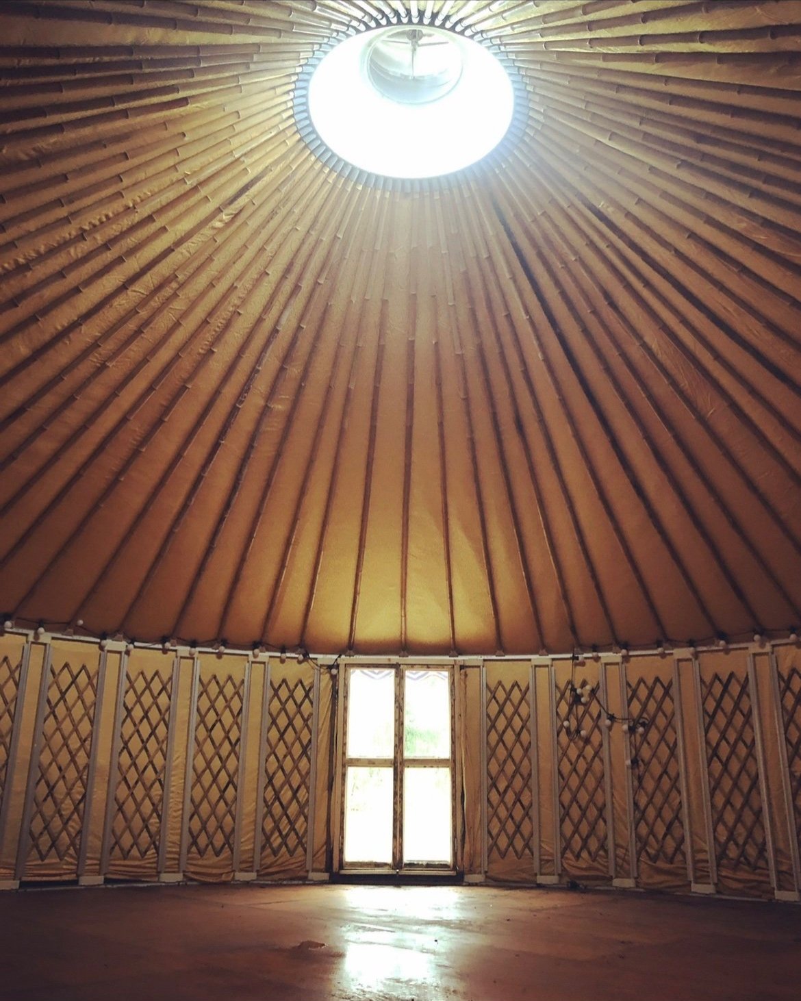 Yurt+Interior+Gold.jpg
