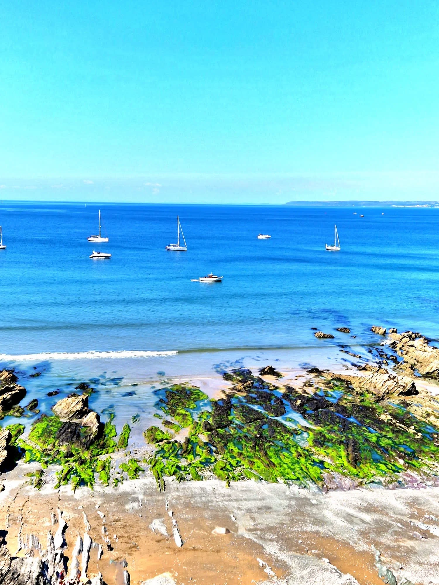 GO WILD Midsummer June 2024 - 4 nights-  Last three spaces from £875