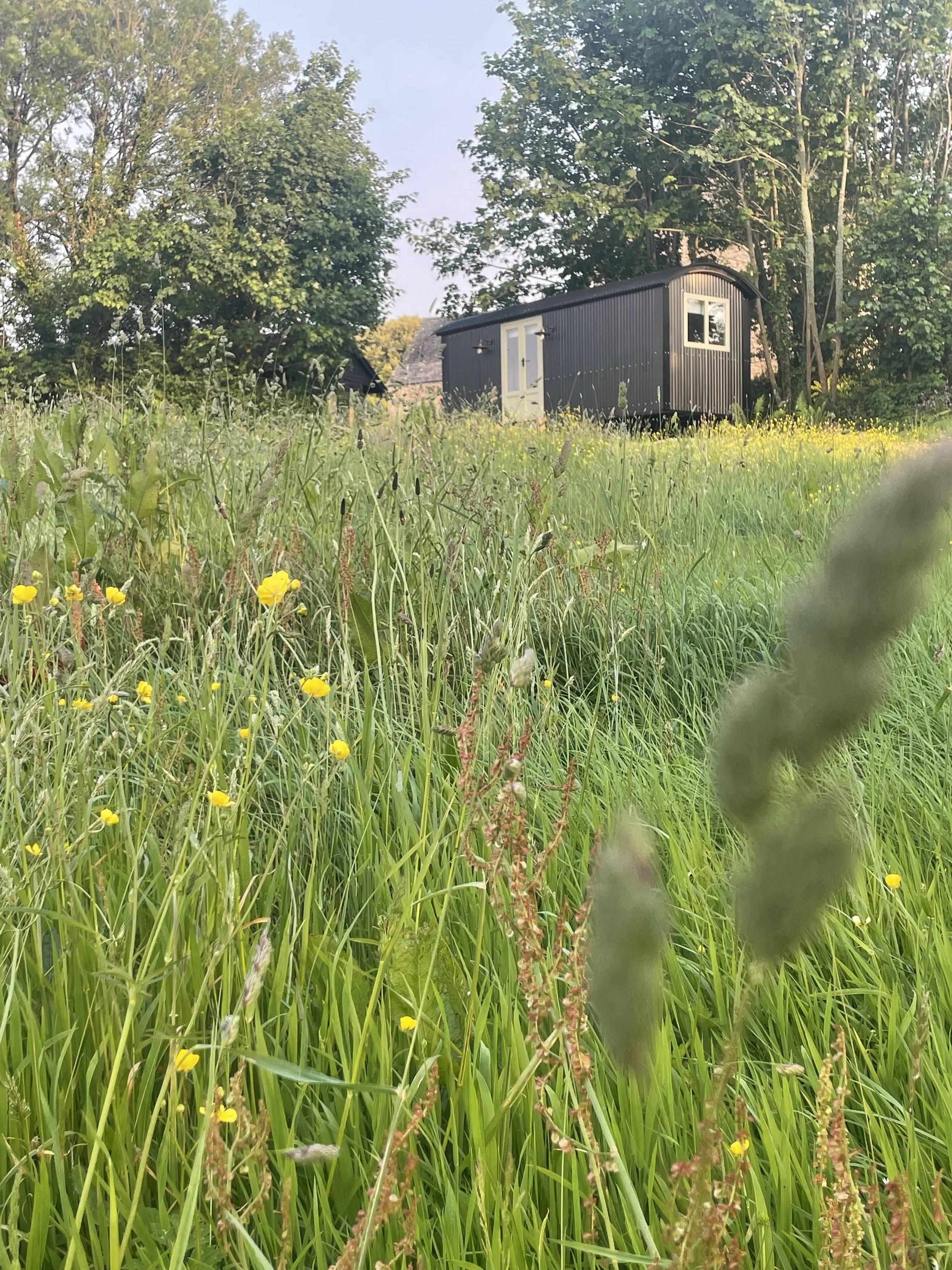 hut in  paddock foregriound.jpg