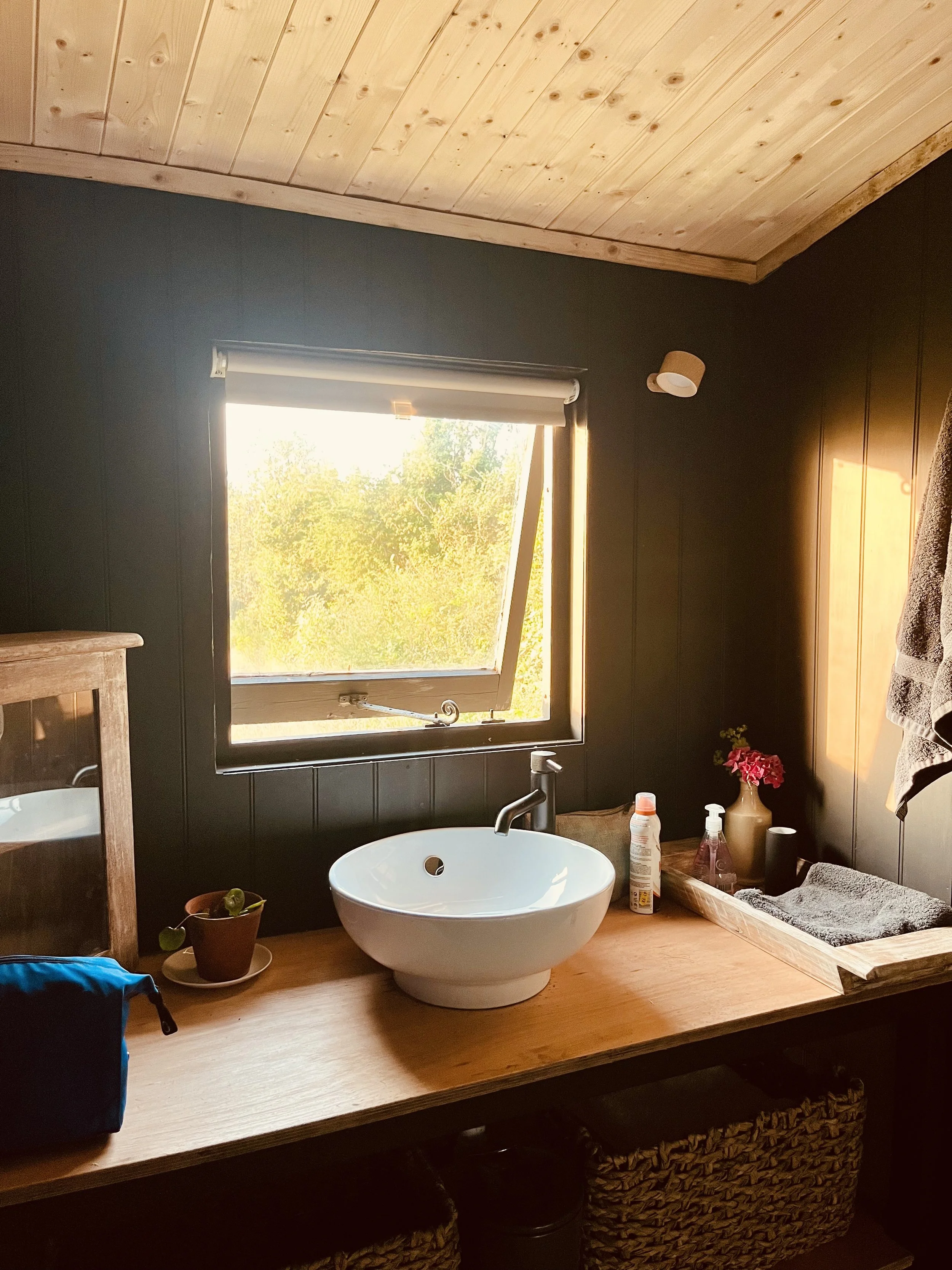Cabin Bathroom.jpg