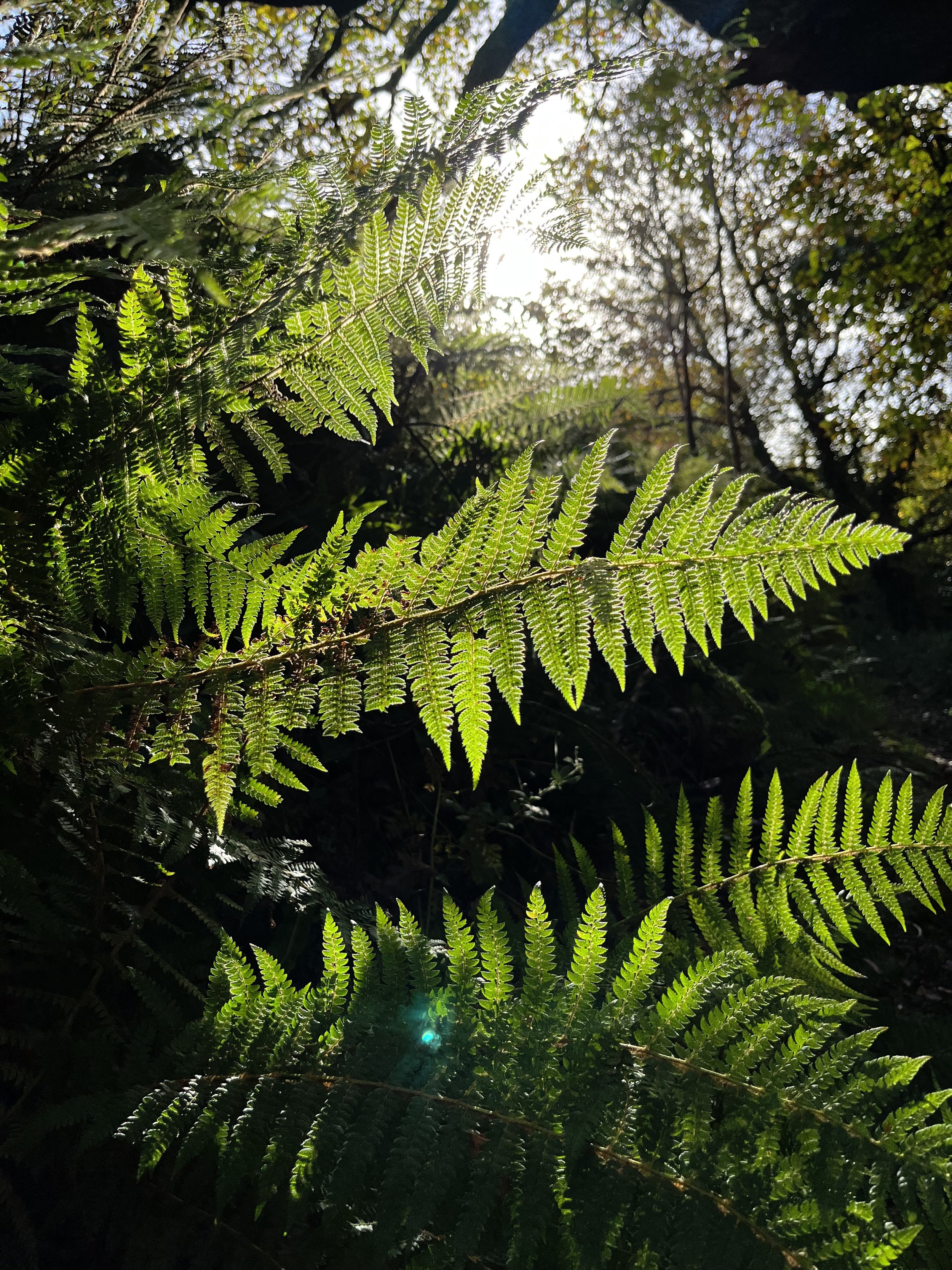 GO WILD Spring Retreat- from £795