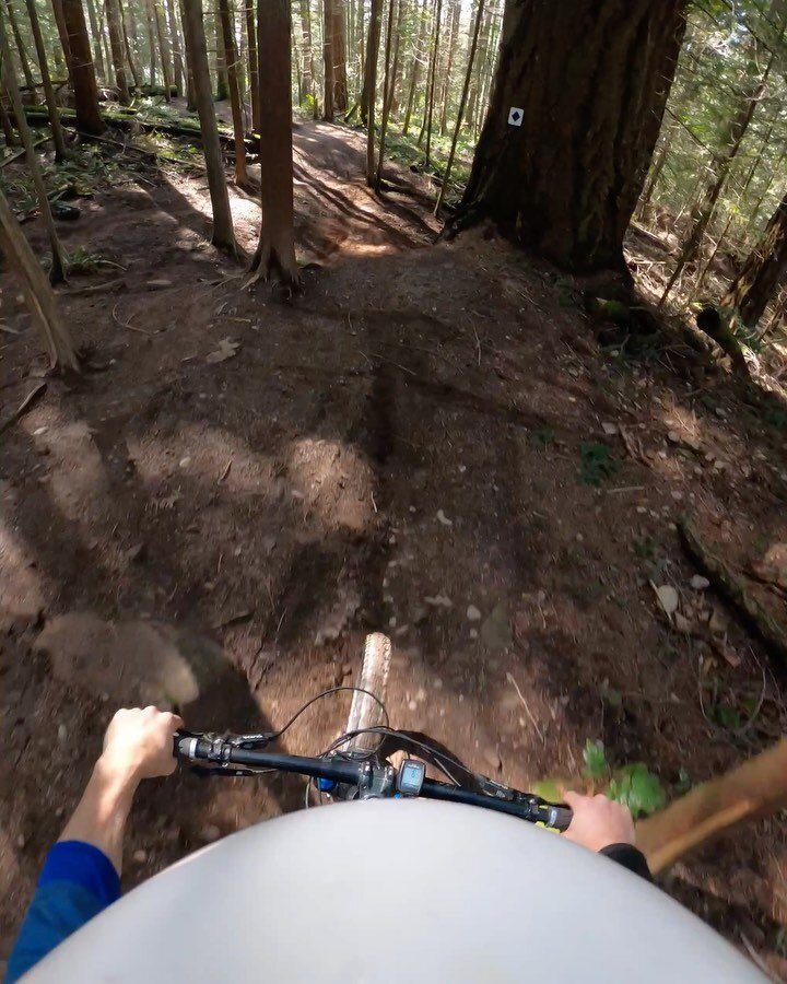 Wednesday&rsquo;s completed work on the Double Down Root Drop at #chuckanutmountain. This turned into a three session project instead of two that I originally planned, but it&rsquo;s done! 

If you get the chance this weekend, go ride Chuckanut. It&r