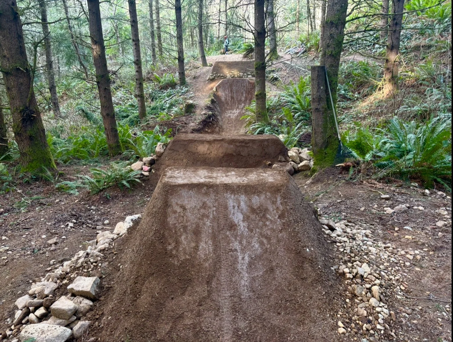 Grasshopper Sloan Step-Up (low rez).jpeg