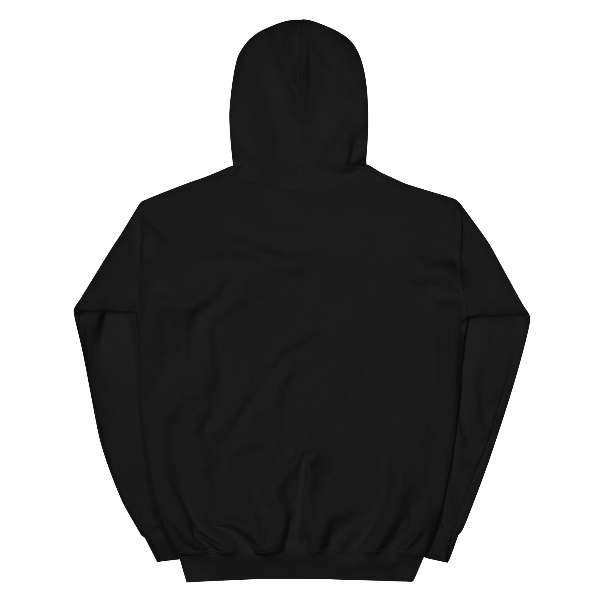 unisex-heavy-blend-hoodie-black-back-6875b41e774a7.png
