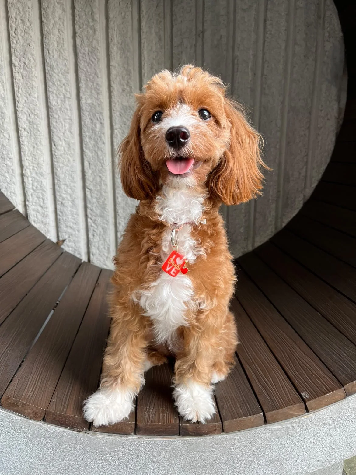 8A5E40AD-3124-467A-9995-B09D51C1A8CA (1).JPG