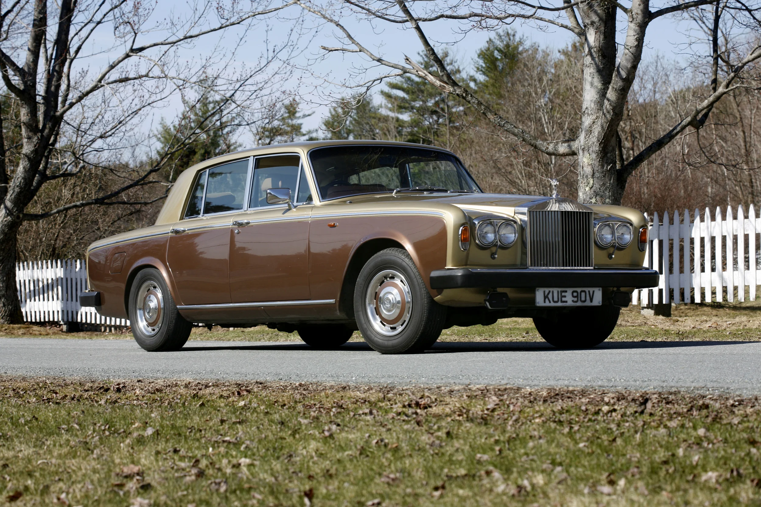 20090416-brown-gh-103.JPG