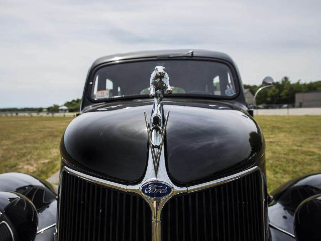 sm_dsc_7904__large.jpg