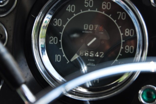 DSC_0236-1.jpeg