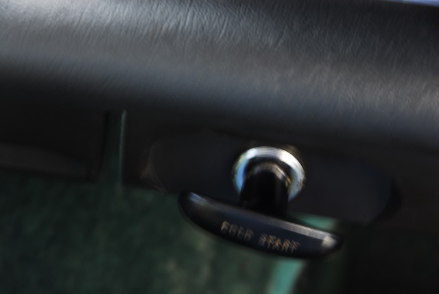 DSC_0242-1.jpeg