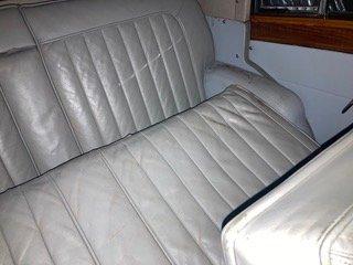 IMG_1917.jpeg