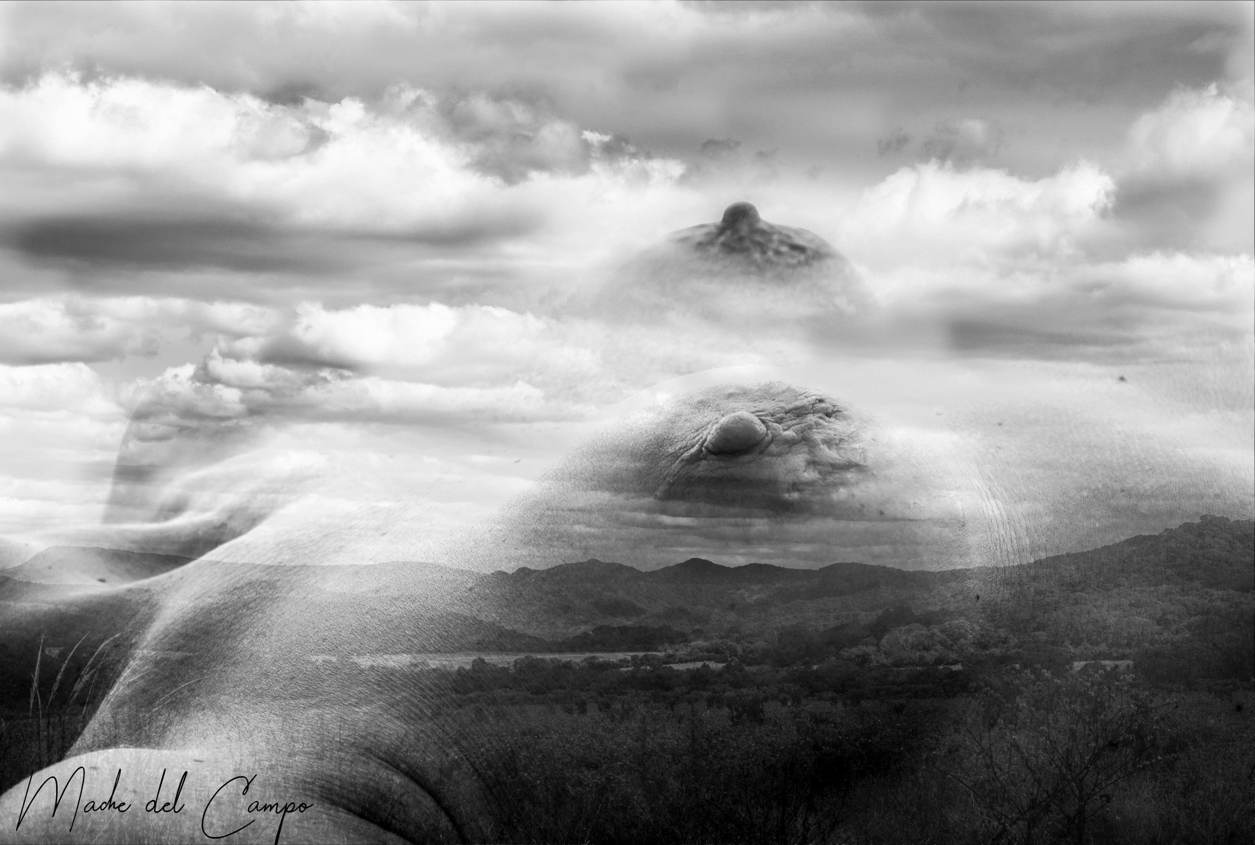 PORTFOLIO078-31.jpg