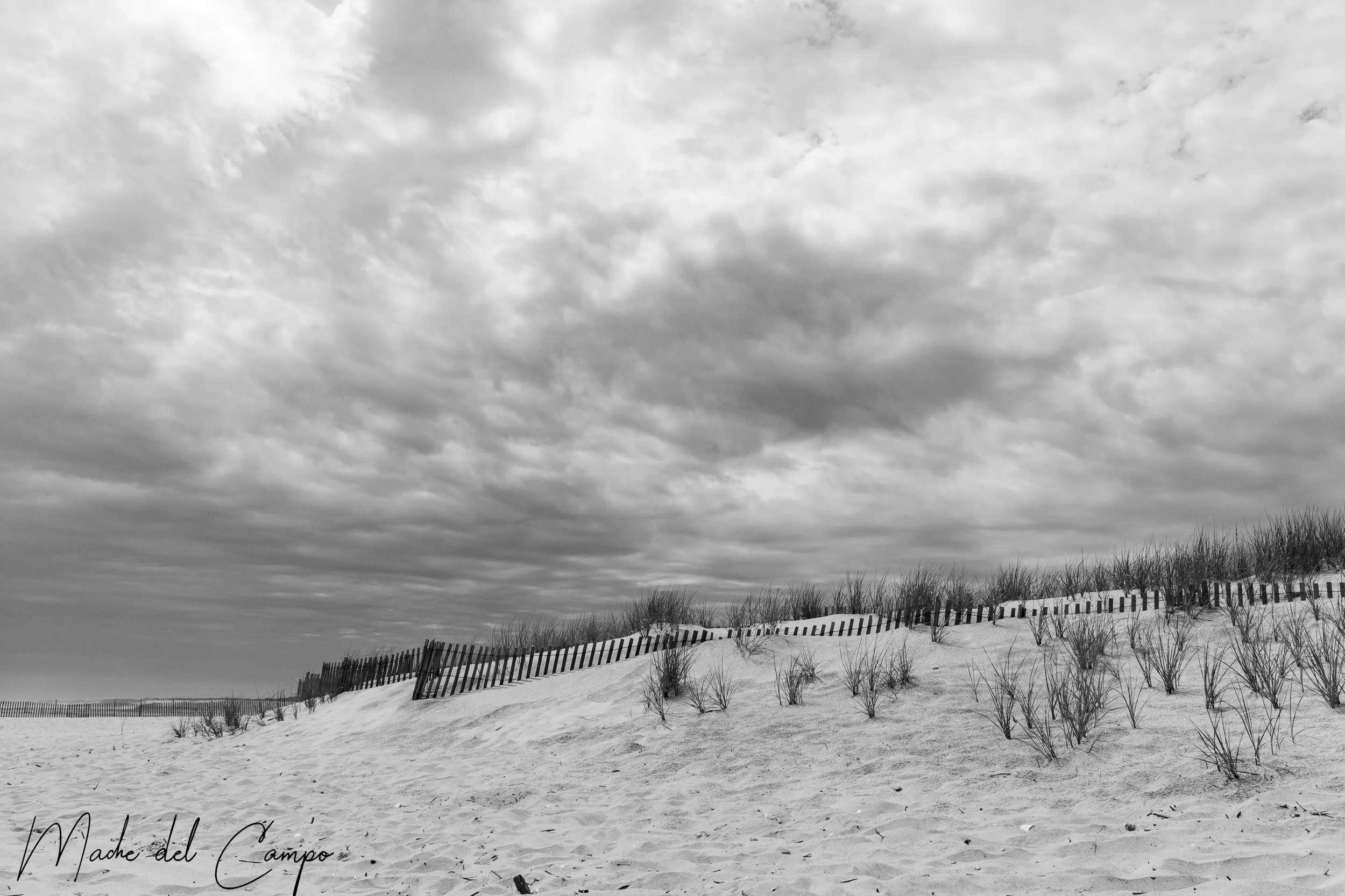 PORTFOLIO020-9.jpg