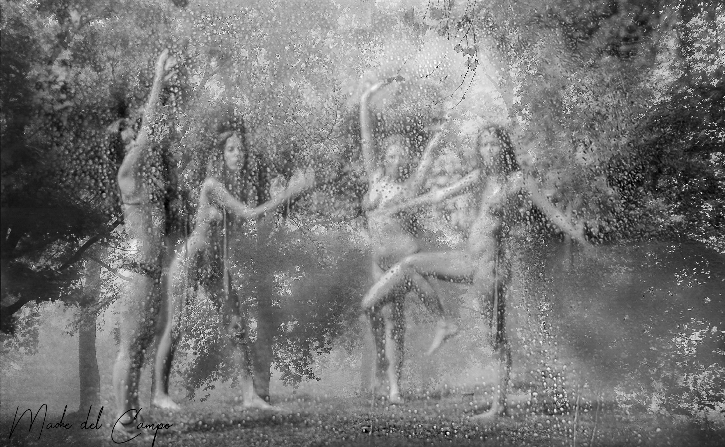 PORTFOLIO039-4.jpg