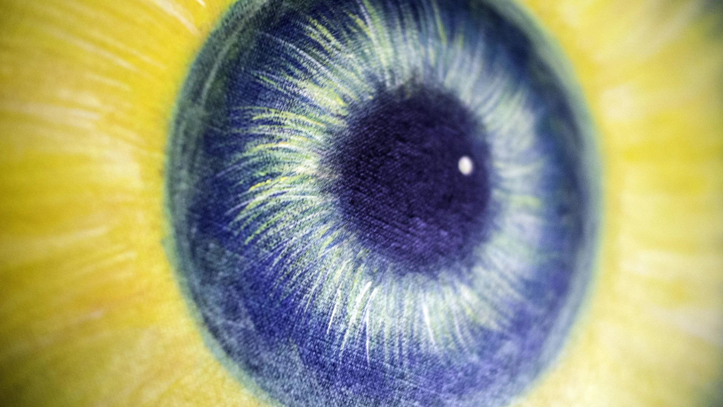 theSoftOne_Closeup.jpg