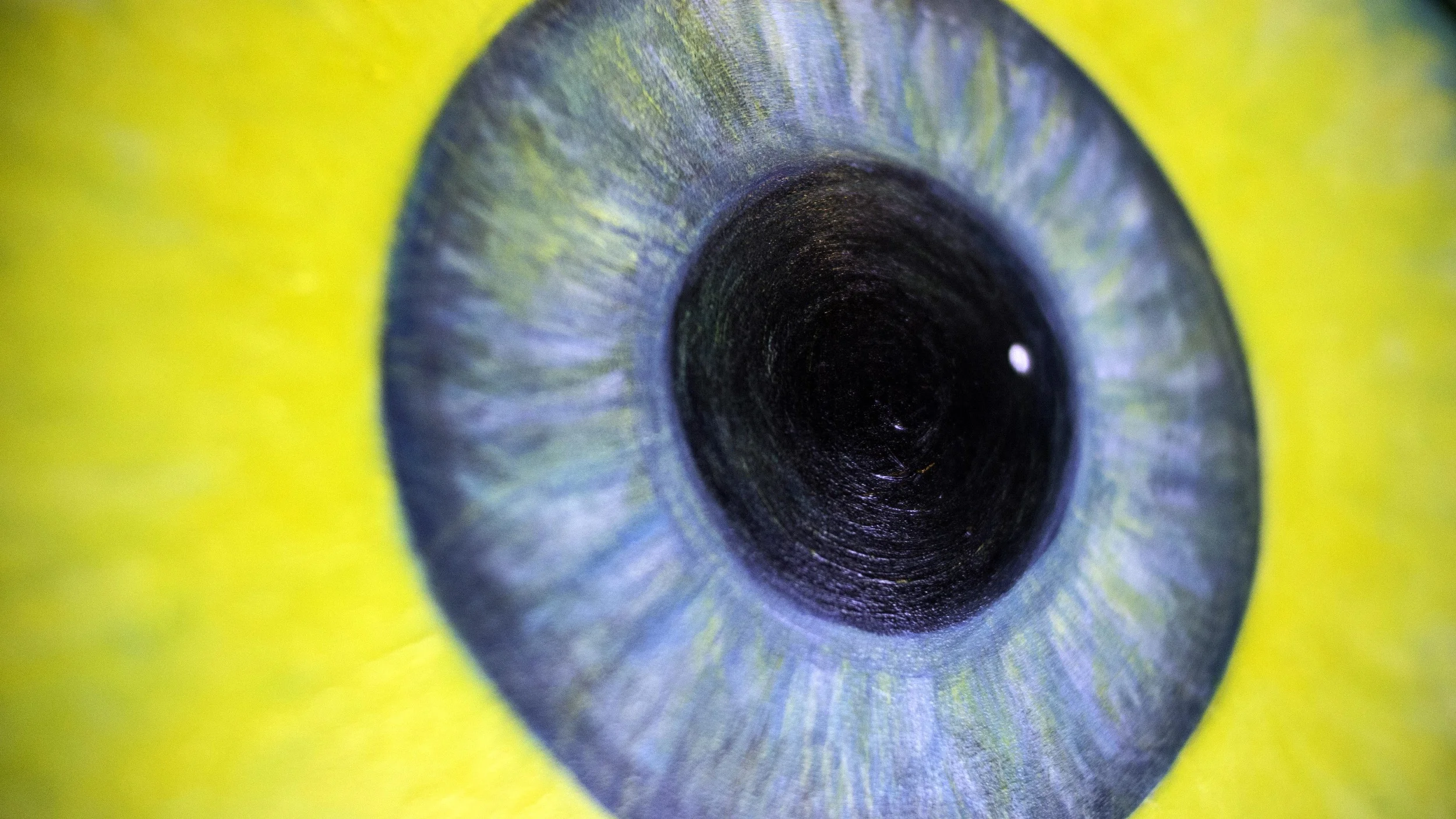 theSunnyOne_Closeup2.jpg