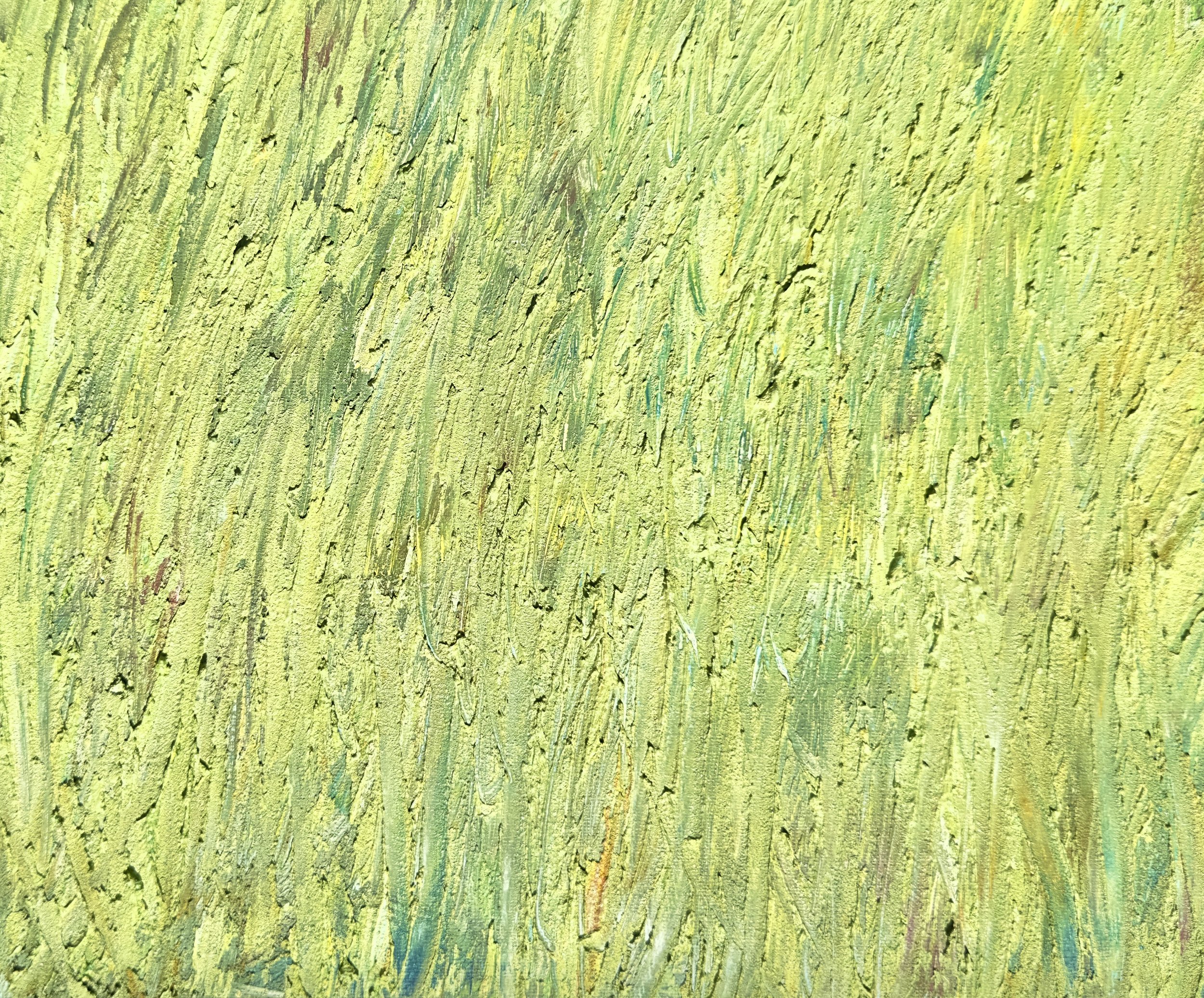 Spring grasses close up.jpg