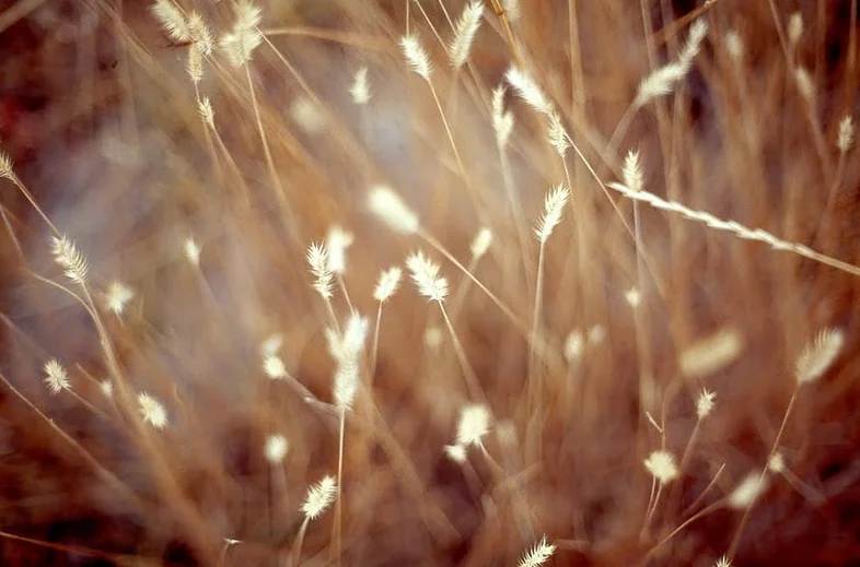 Img-3.jpeg