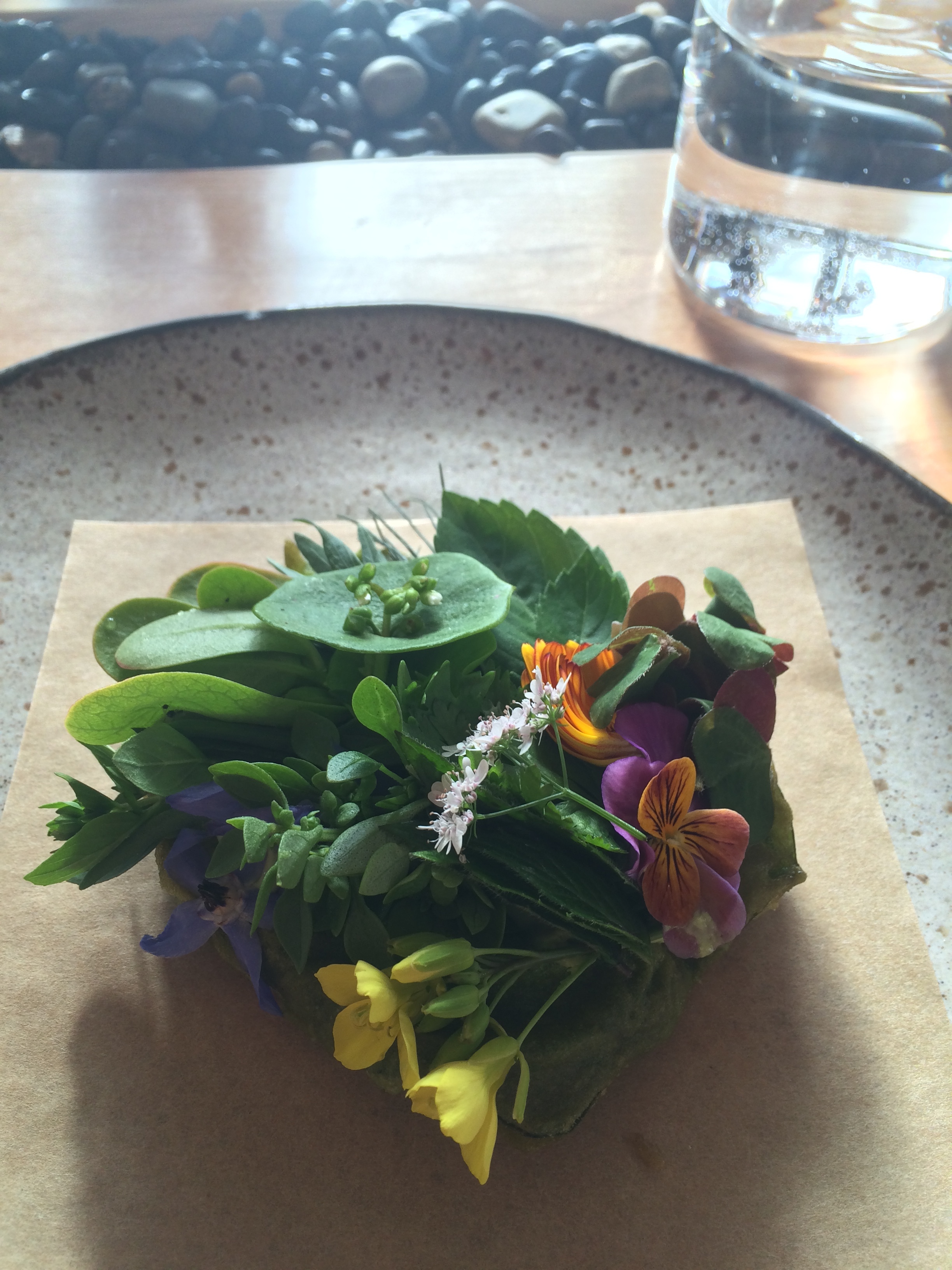 Wild herbs and crispy chicory leaves