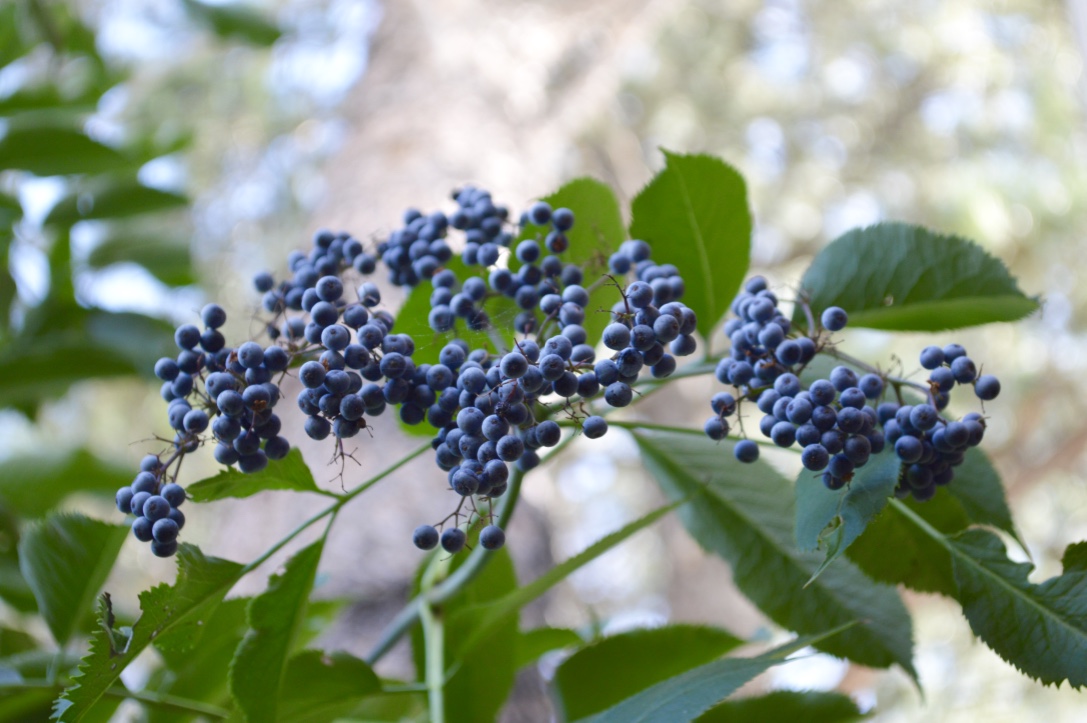 thumb_DSC_0048_1024.jpg