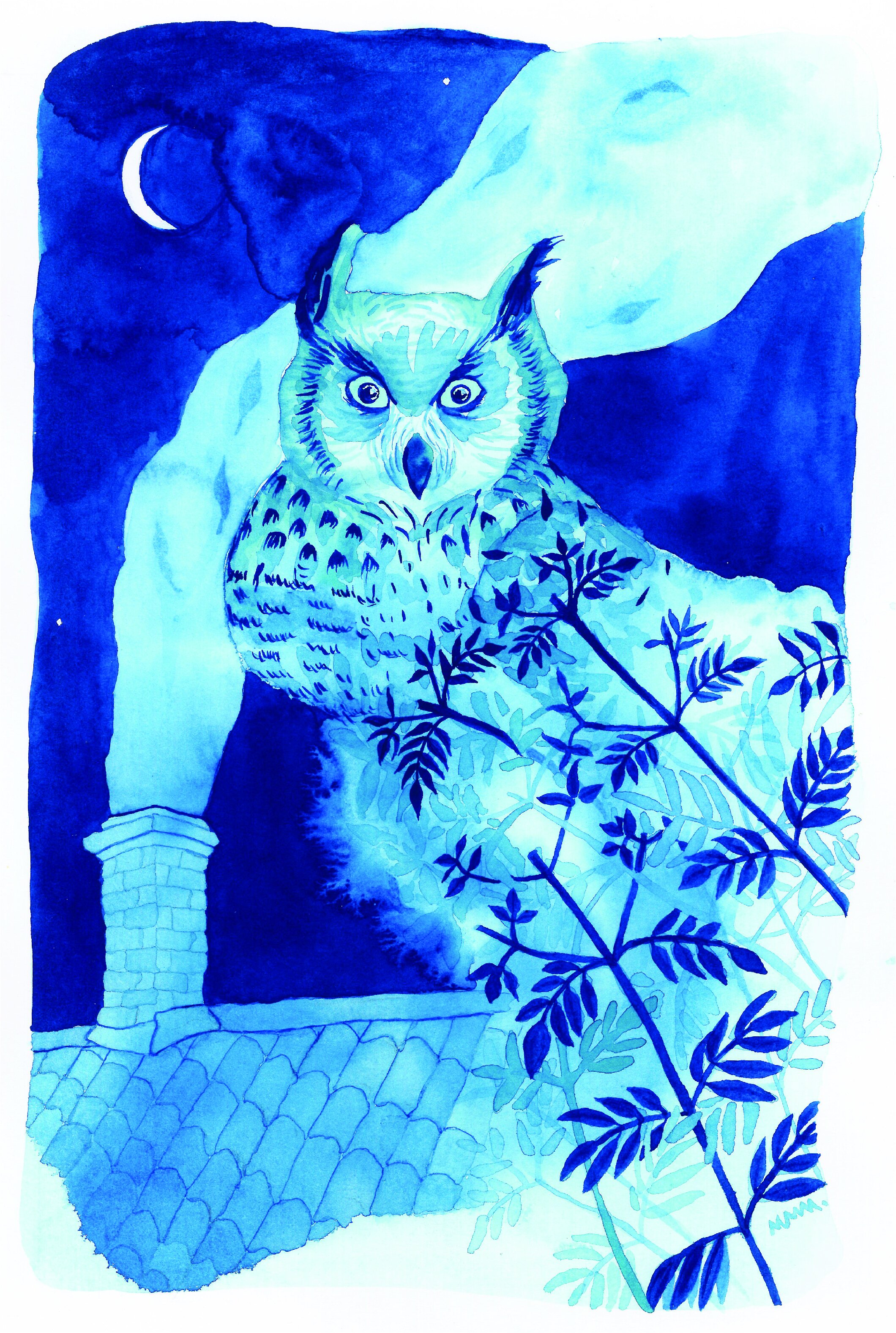 owl_scan-01.jpg