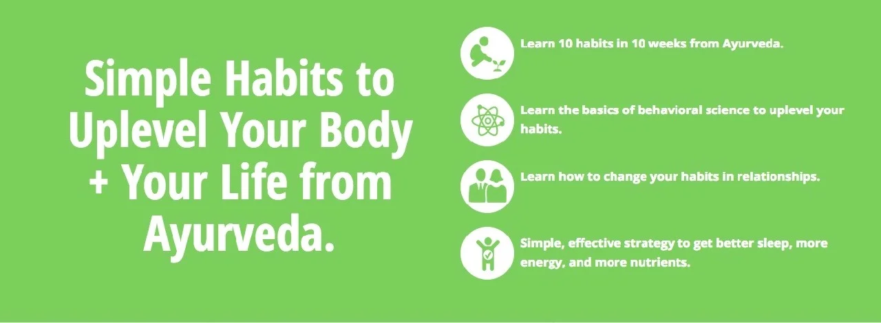 bodythrive 2.jpg